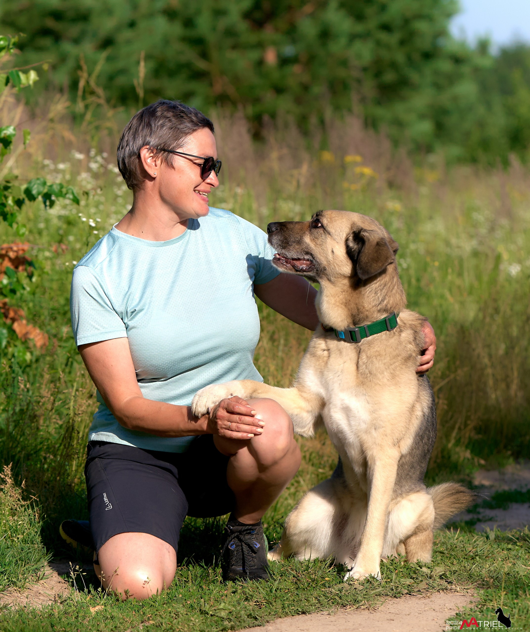 Репортаж из кинологического лагеря