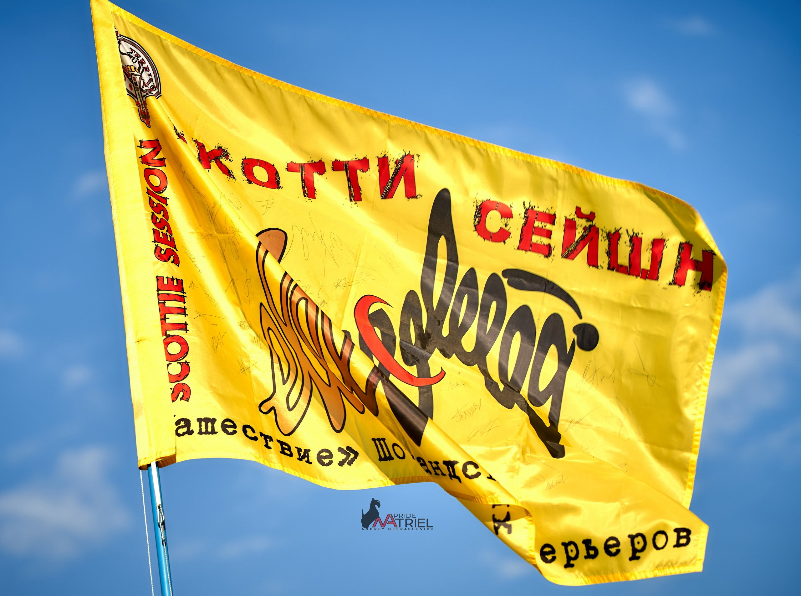 Мероприятия с собаками — галерея NATRIEL