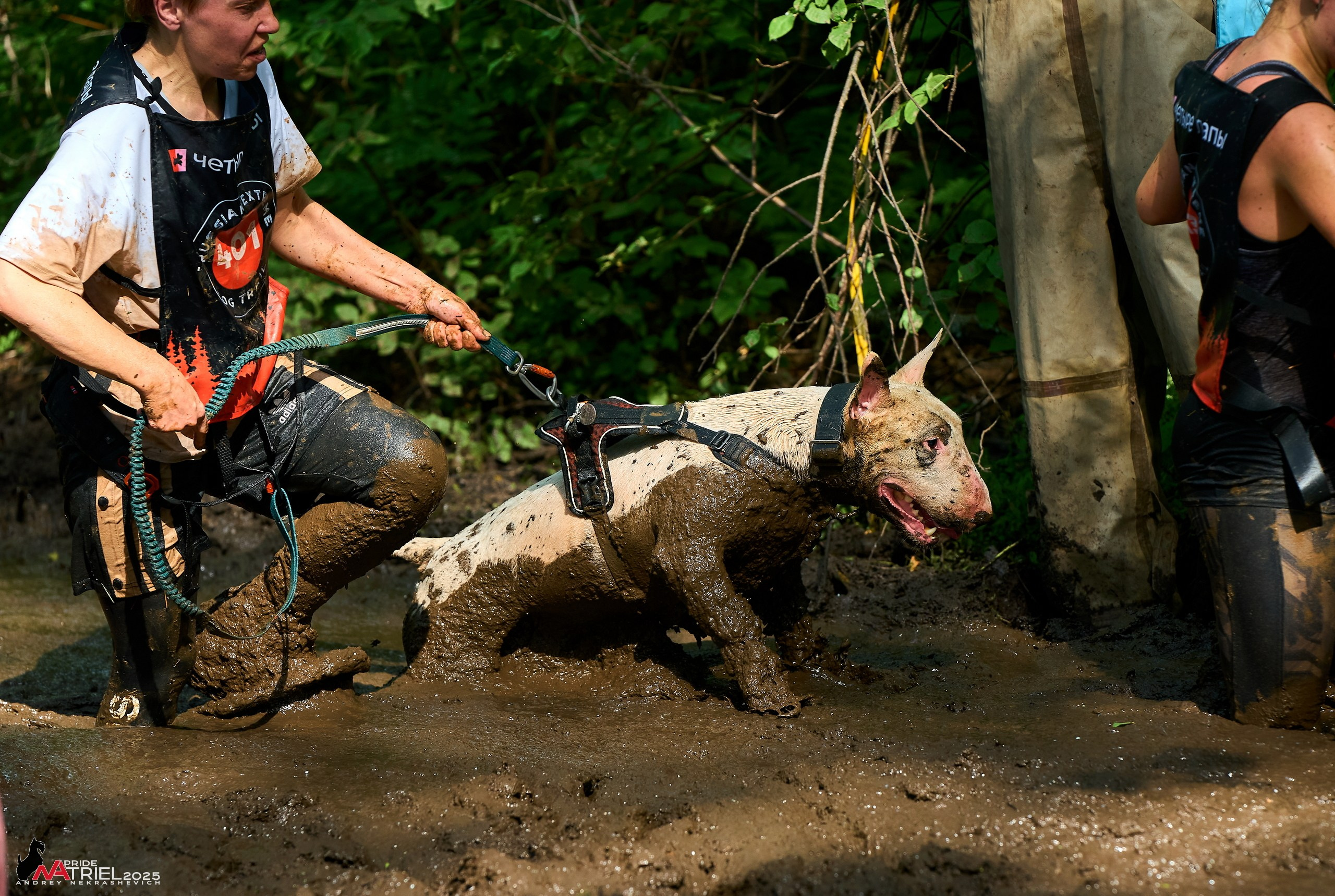 Russian Extreme Dog Trail — 2025