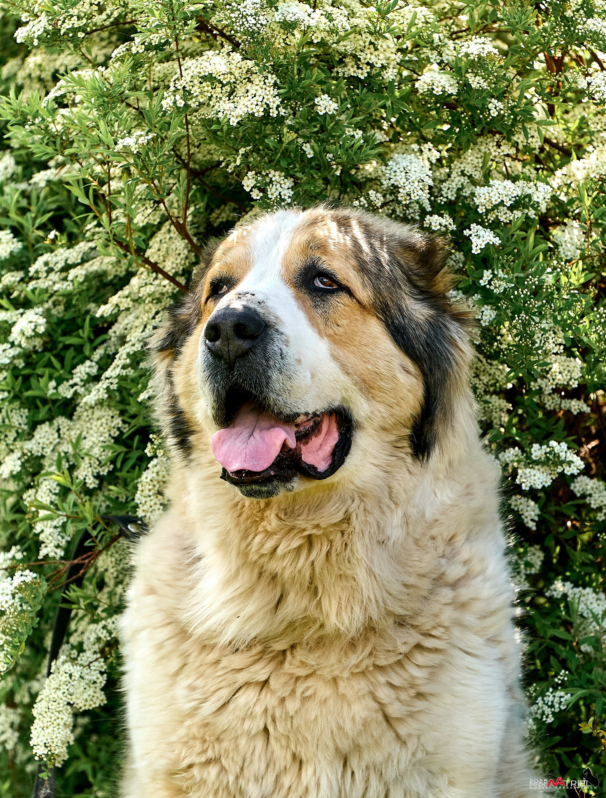 Съемка в питомнике