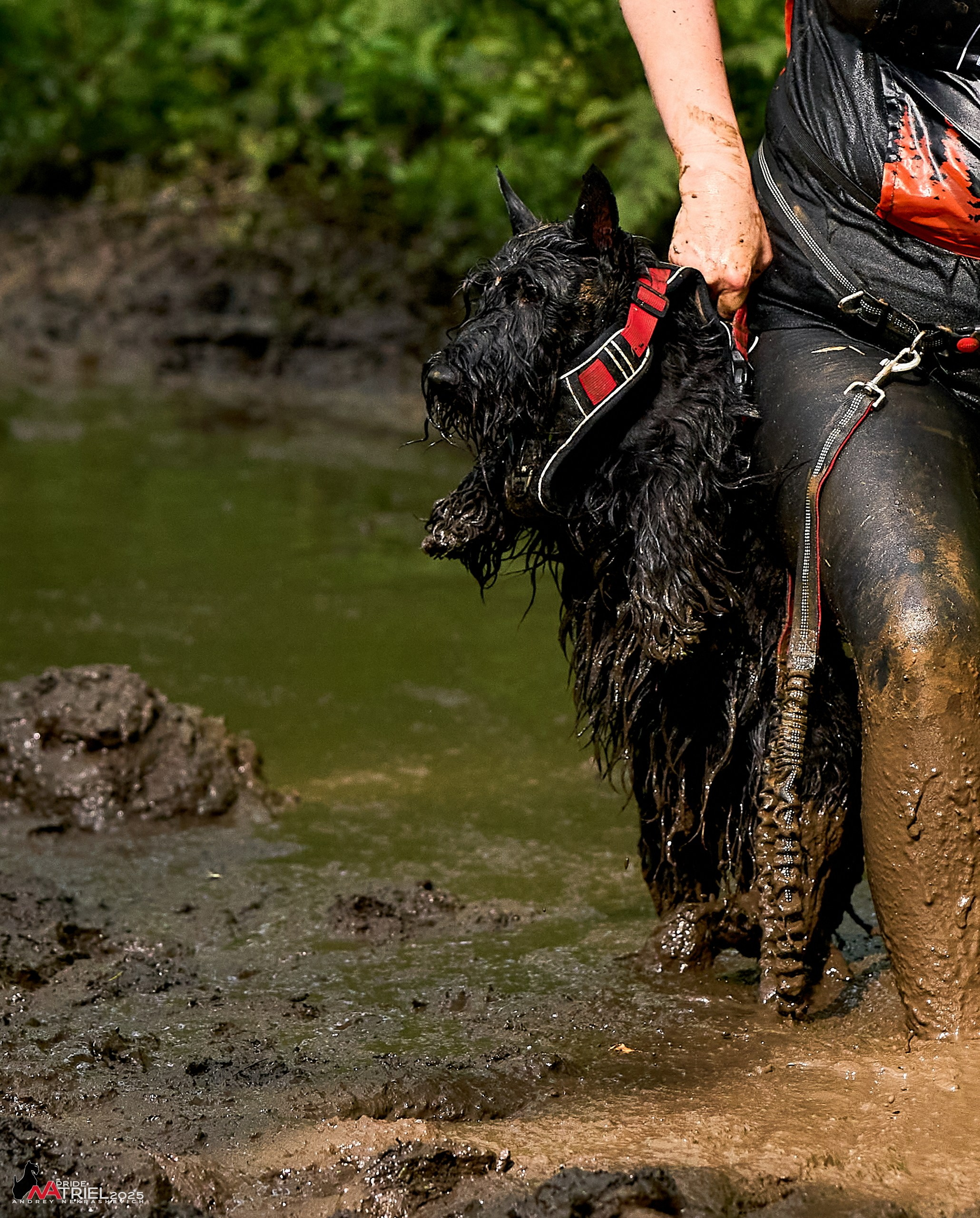 Russian Extreme Dog Trail — 2025