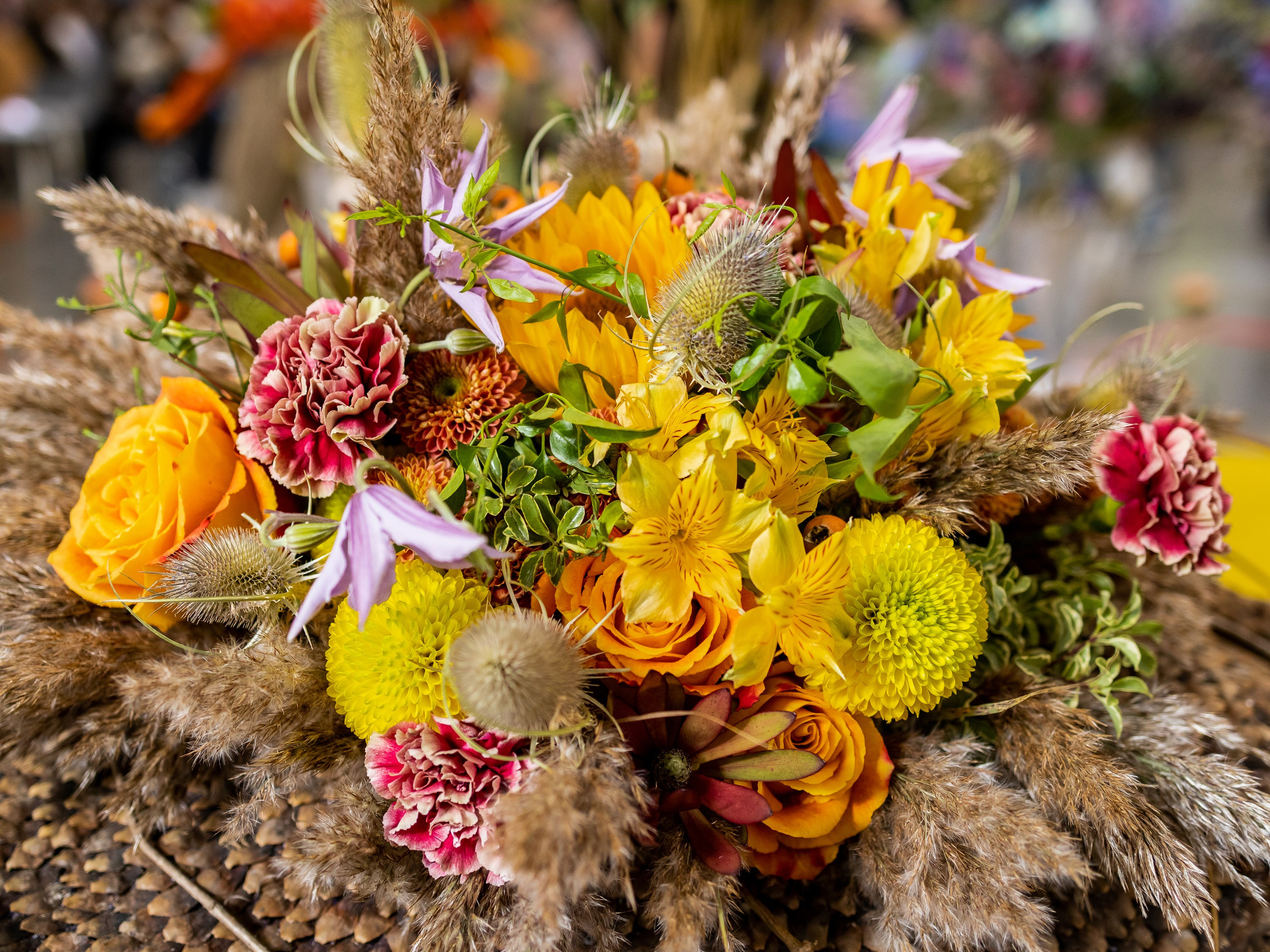 Цветы-Экспо 2024. Фотосессии и репортаж — Фотограф в Москве — Рина Серёгина