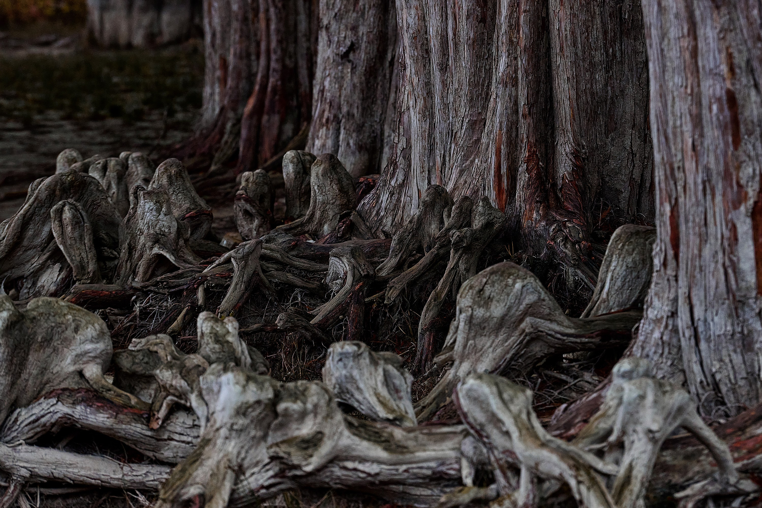 Текстуры и другие фоны. Textures and other. Яркие фото на Чёрном море