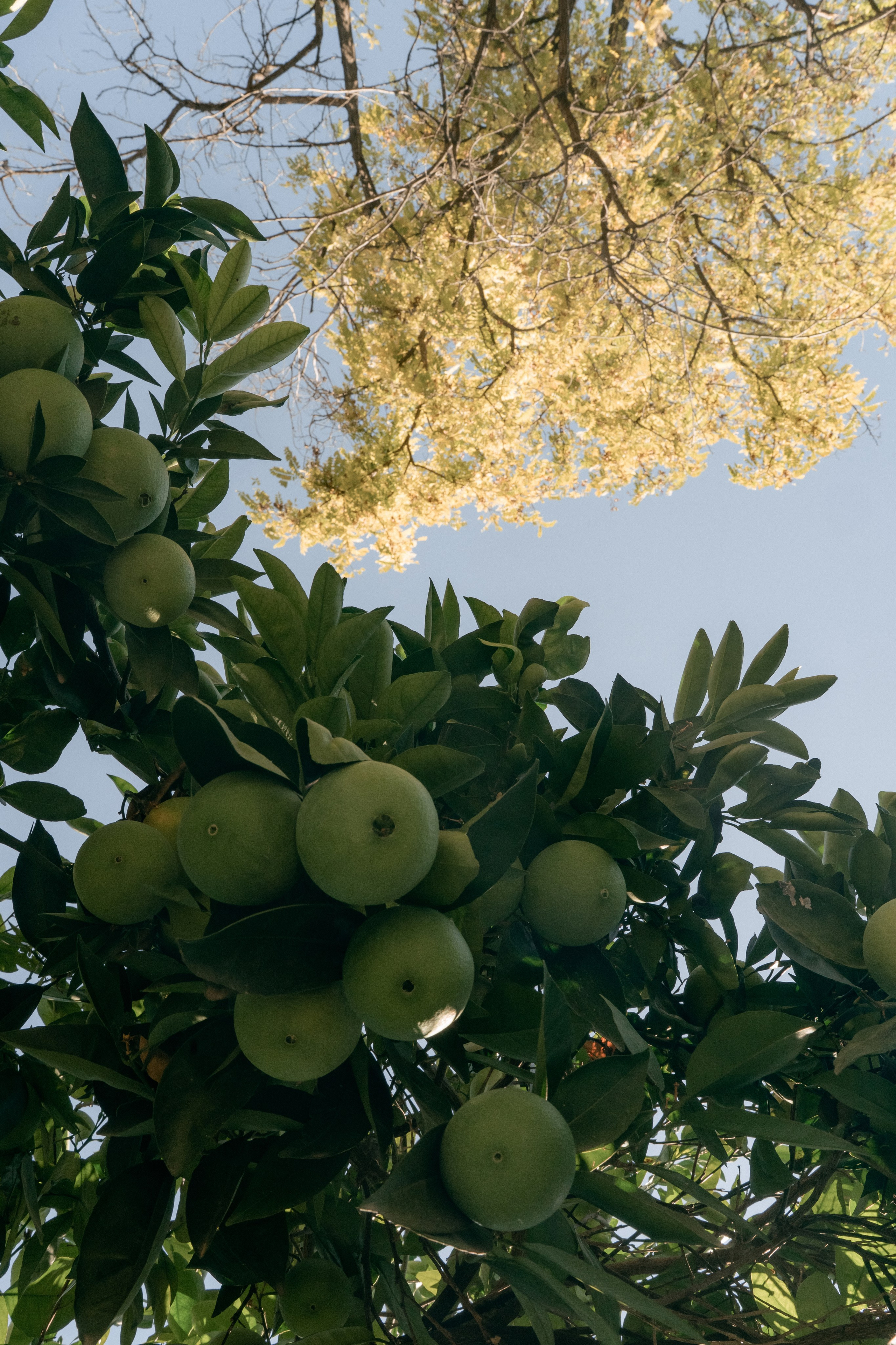 A German wedding among palms. Wedding & Documentary Photographer based in Nuremberg — available across Europe & Turkey | Vitalii Nasonov