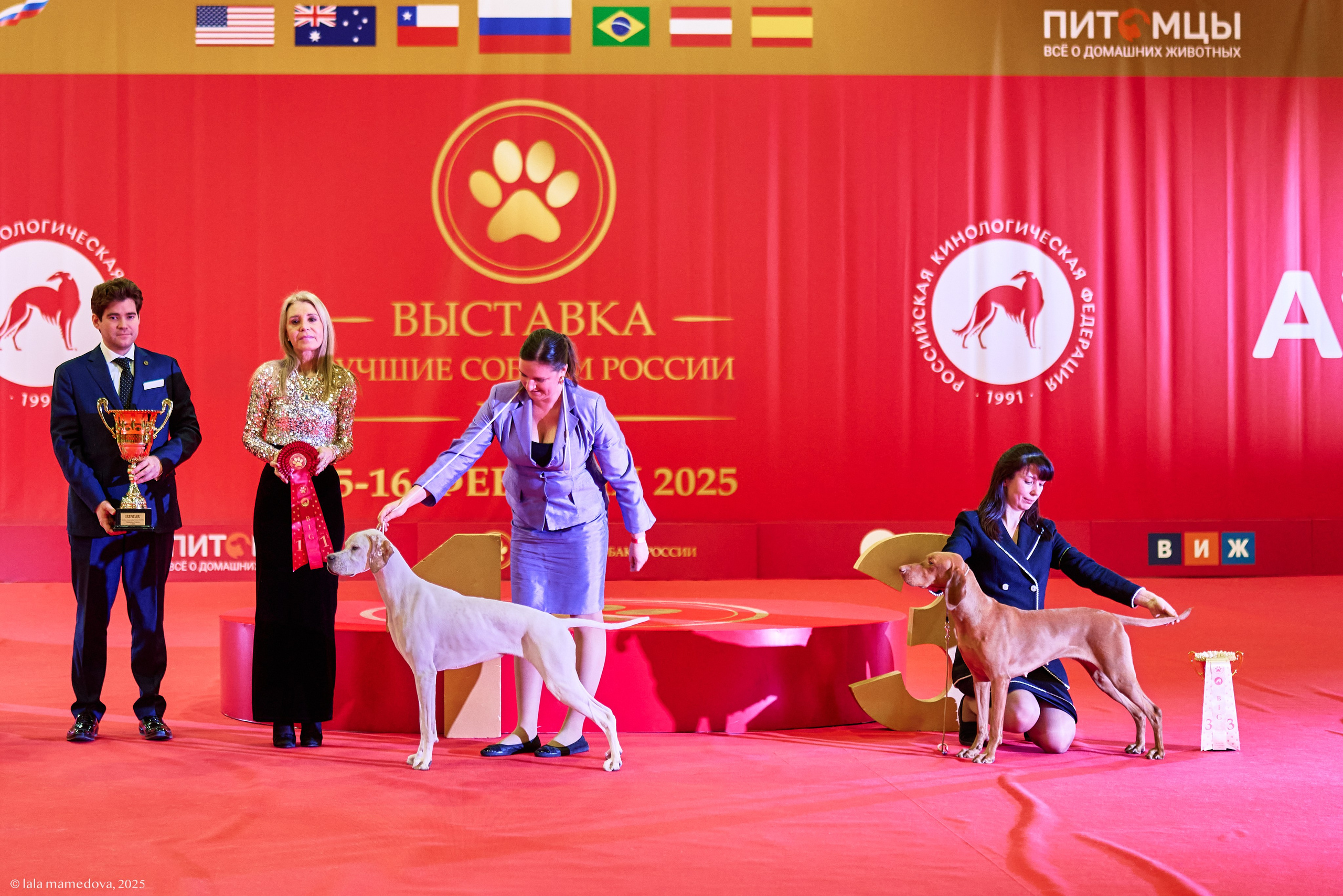 ЛУЧШИЕ СОБАКИ РОССИИ РКФ 2025