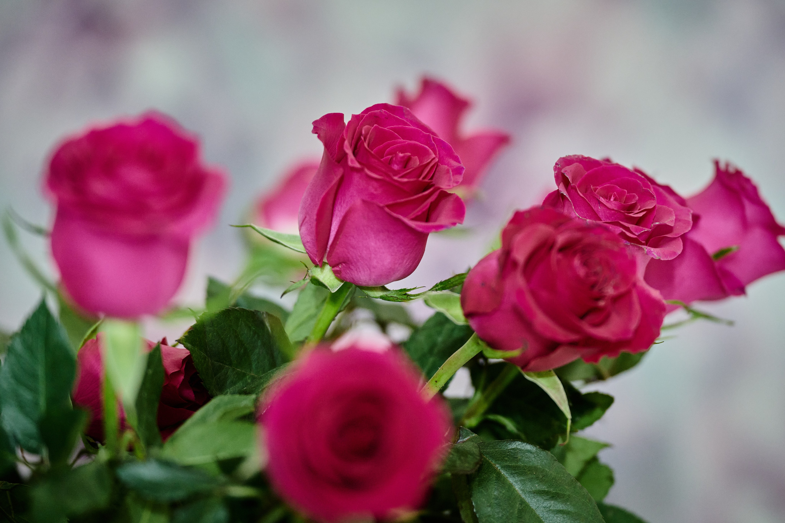 Лисичанск. Луганская область. Фотопроект «Территории»