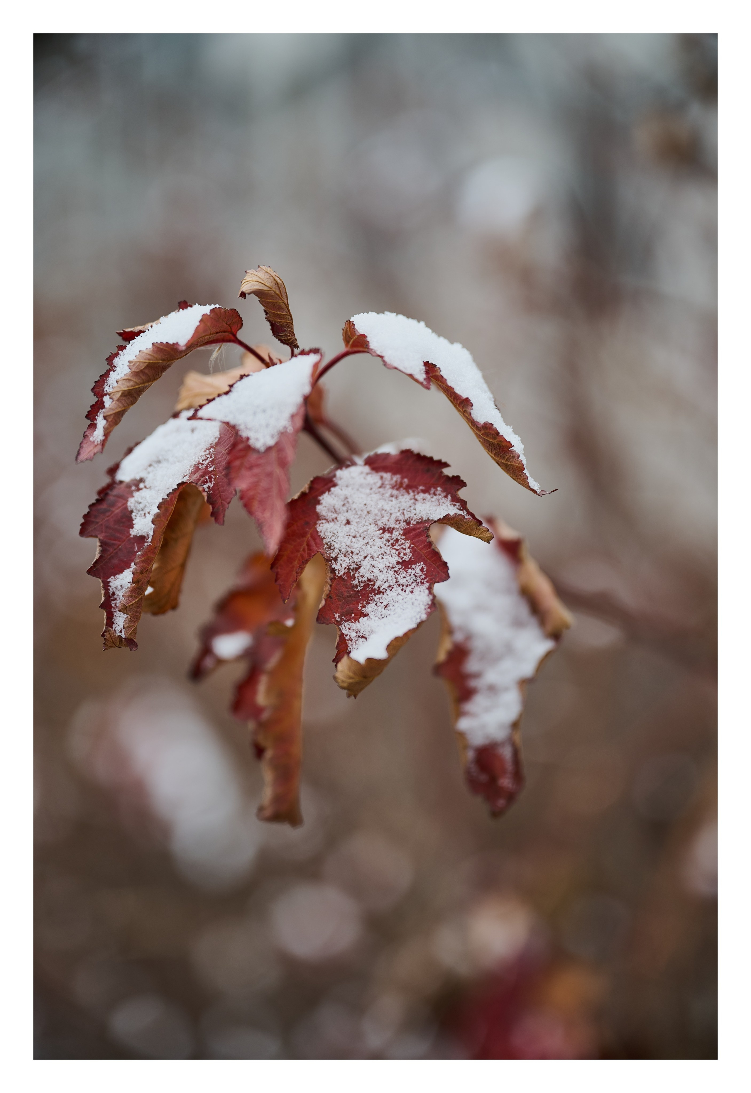 Фотопринты А3. Фотопроект «Территории»