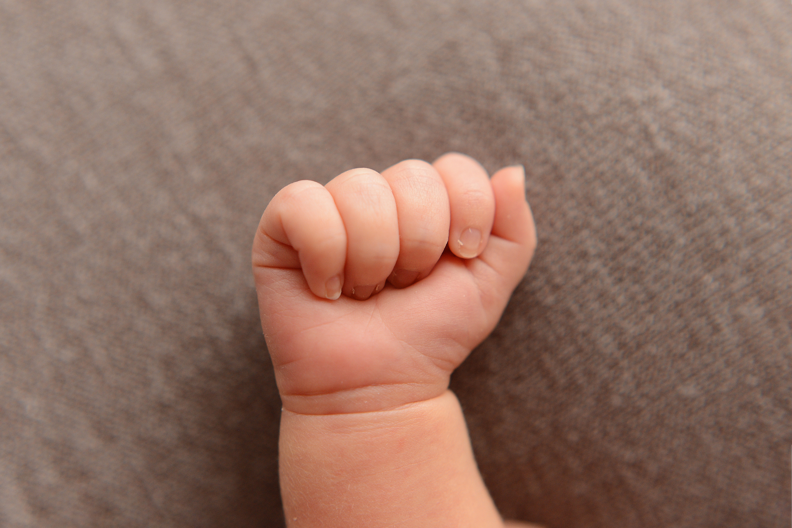 Галерея пакет малыш. Фотограф новорожденных Кемерово Анастасия Шромова