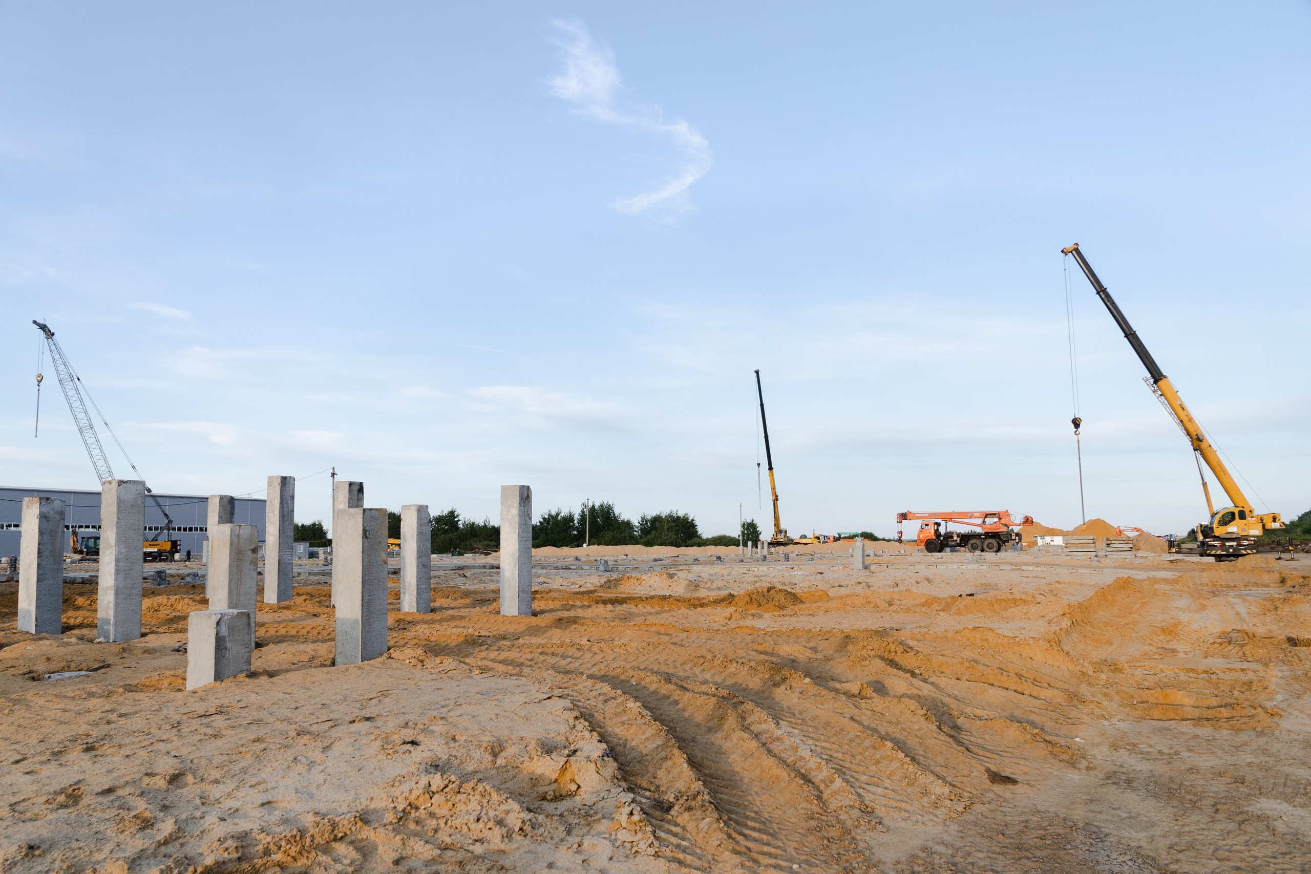 Открытый мир. DASHA KALNINA