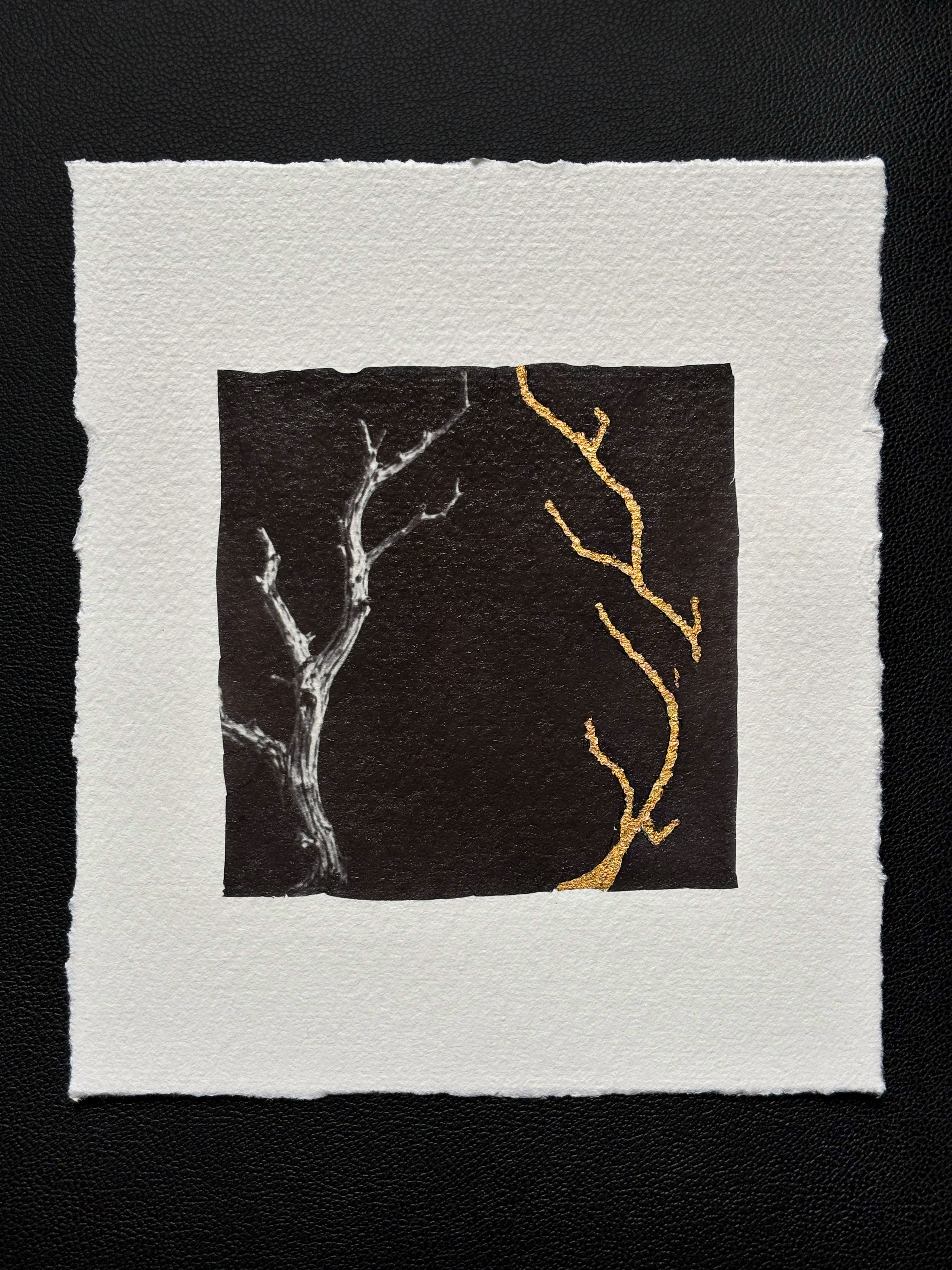 Kintsugi project by Vladimir Borele. Vladimir Borele Photographer