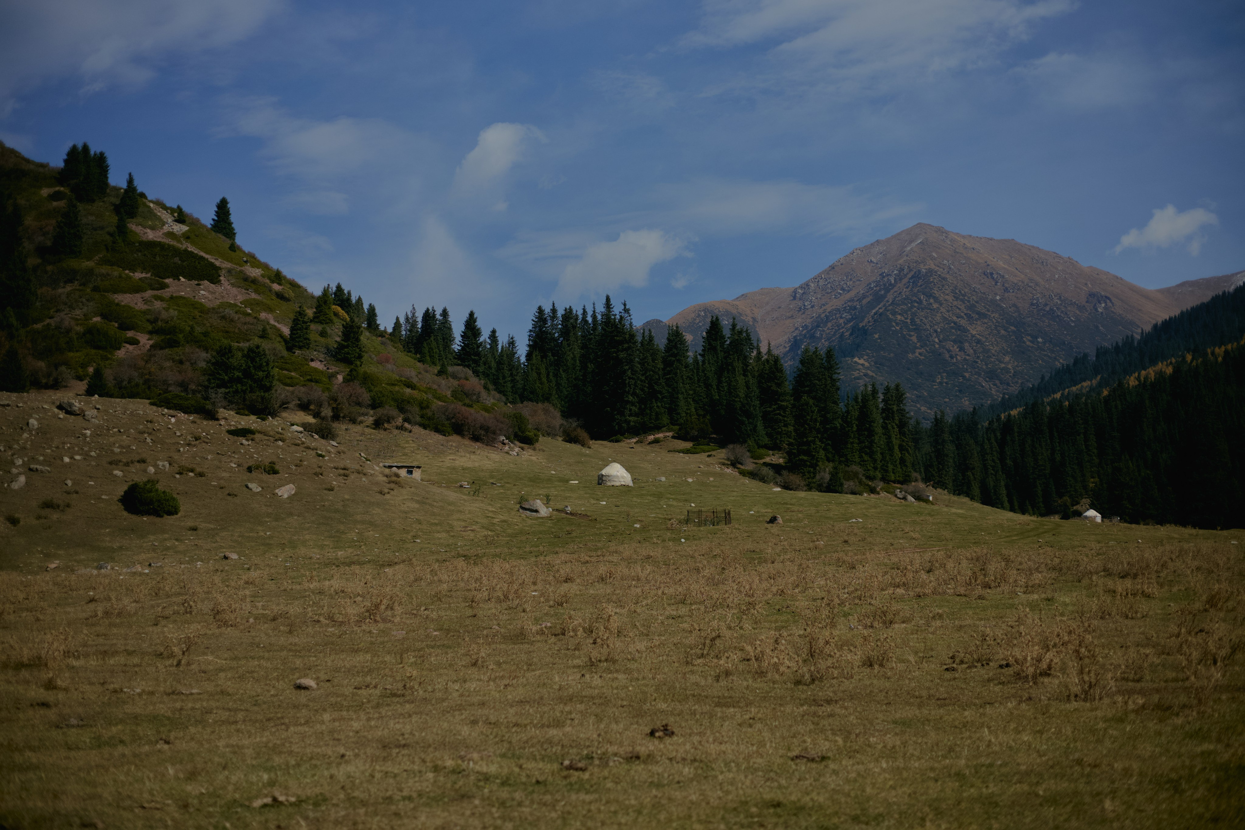 Кыргызтан. Профессиональный Фотограф во Владимире, в Москве и в Суздале — Полина Романычева