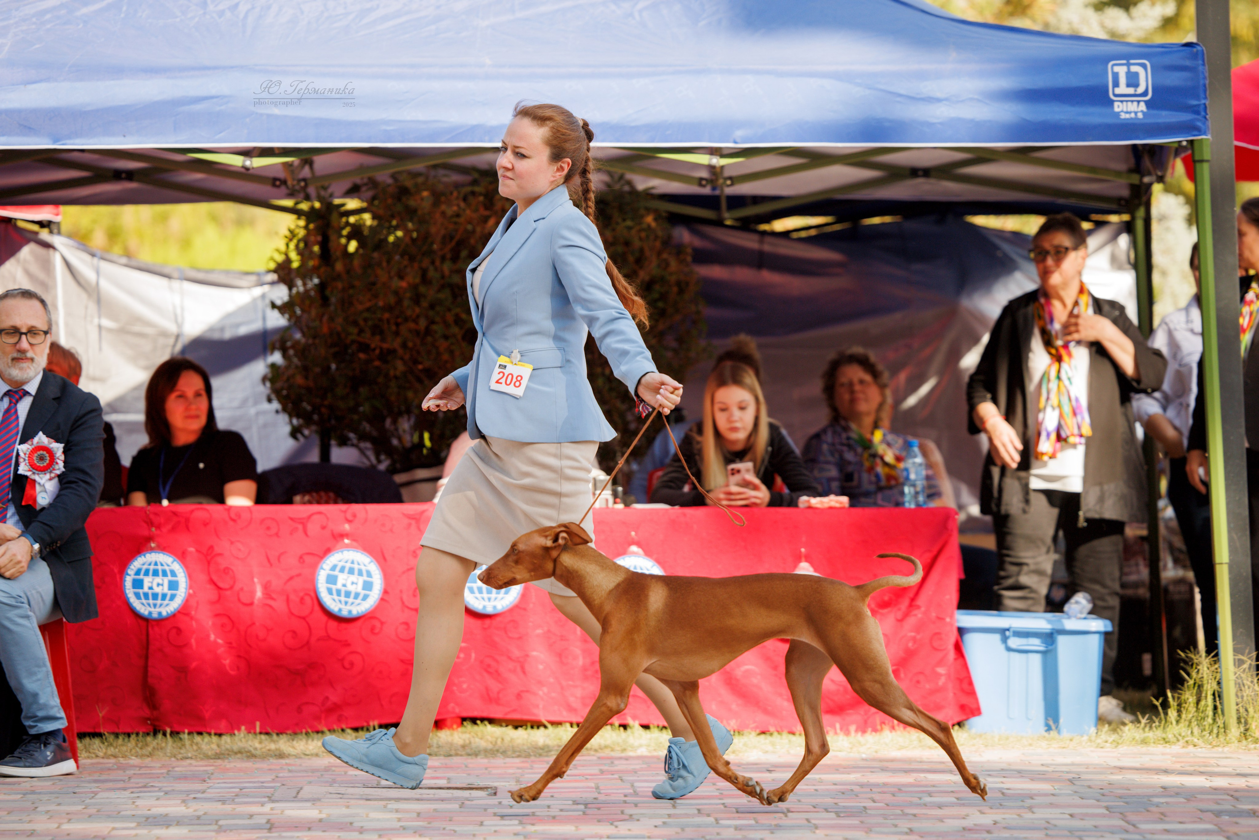 Ташкент 3хCACIB 3-5.10.2025. Фотограф-анималист Юлия Германика