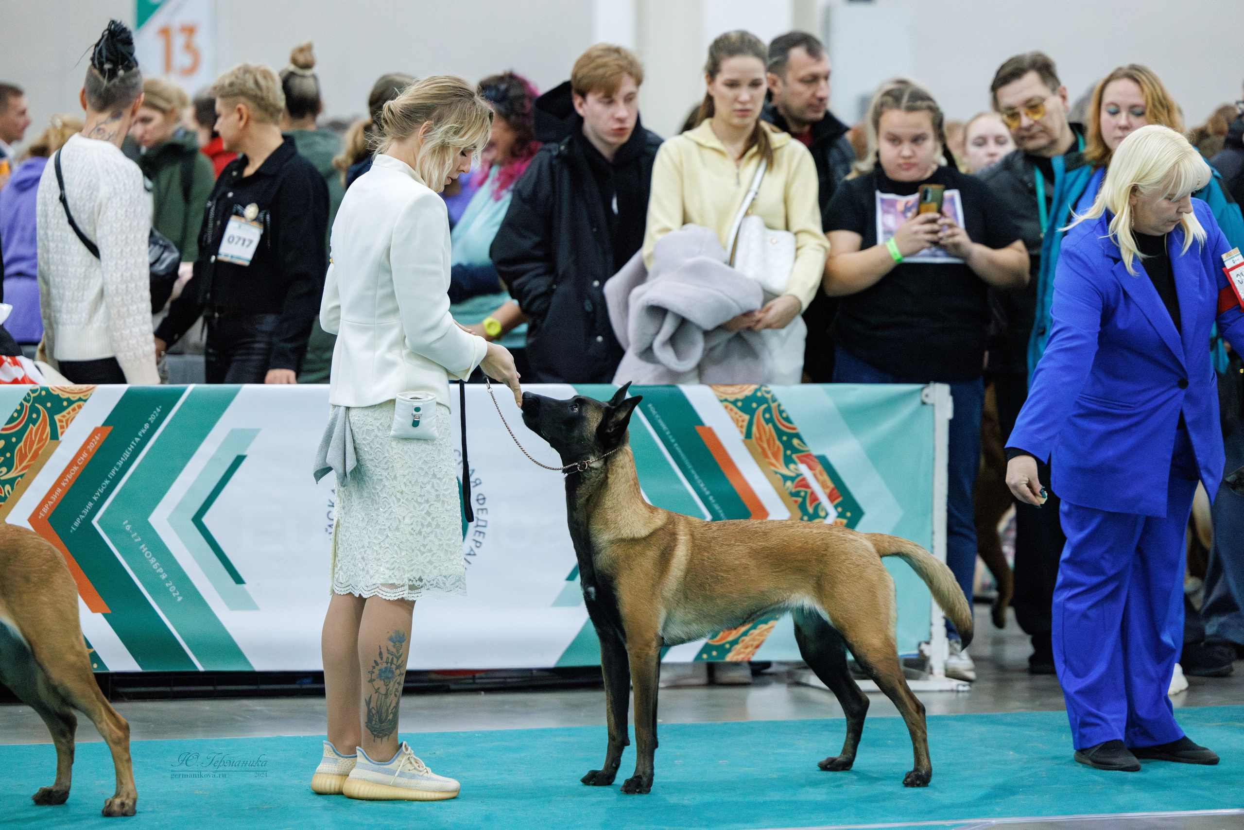 Евразия 16-17.11.2024. Фотограф-анималист Юлия Германика