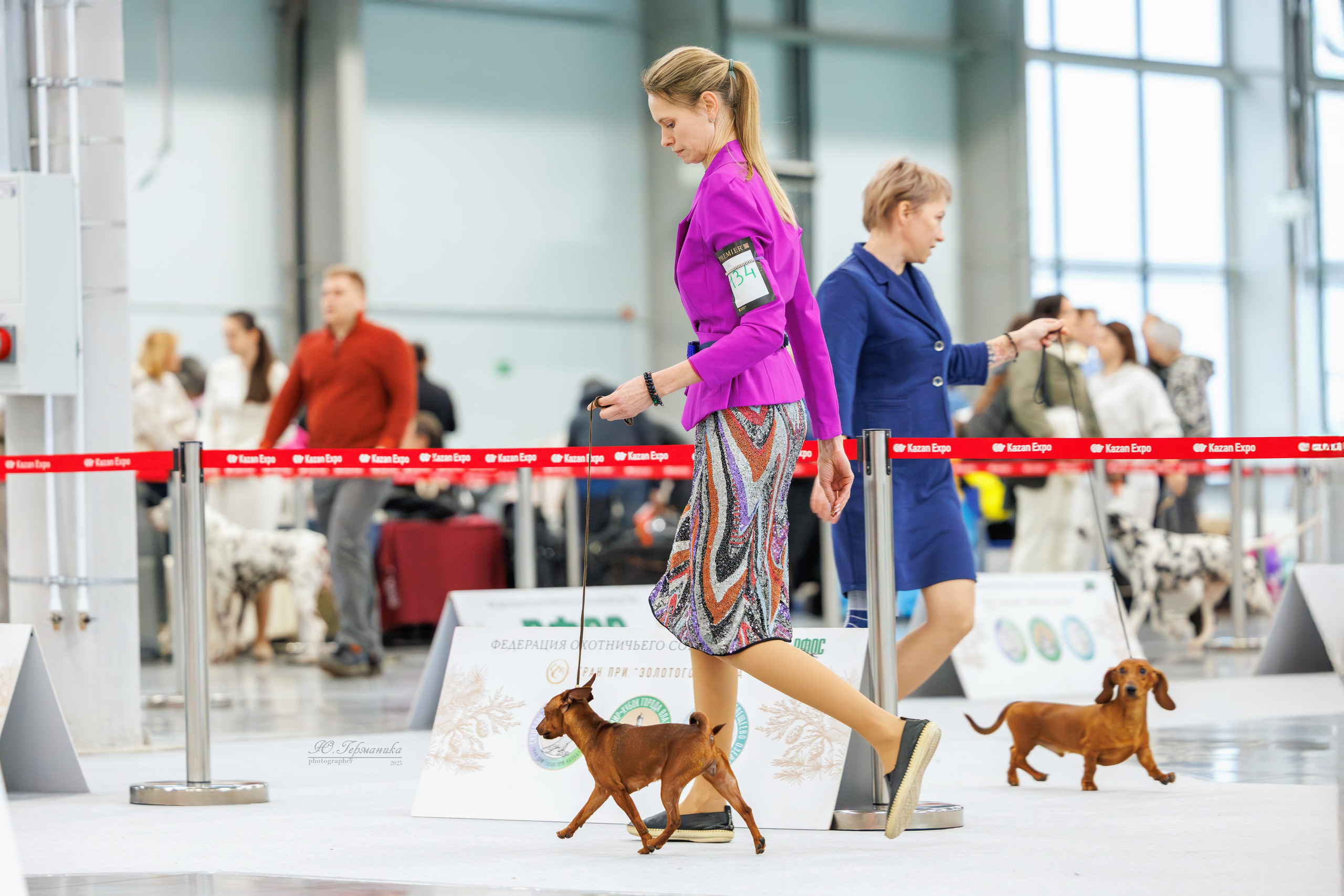Зилант Казань 29-30.11.2025. Фотограф-анималист Юлия Германика
