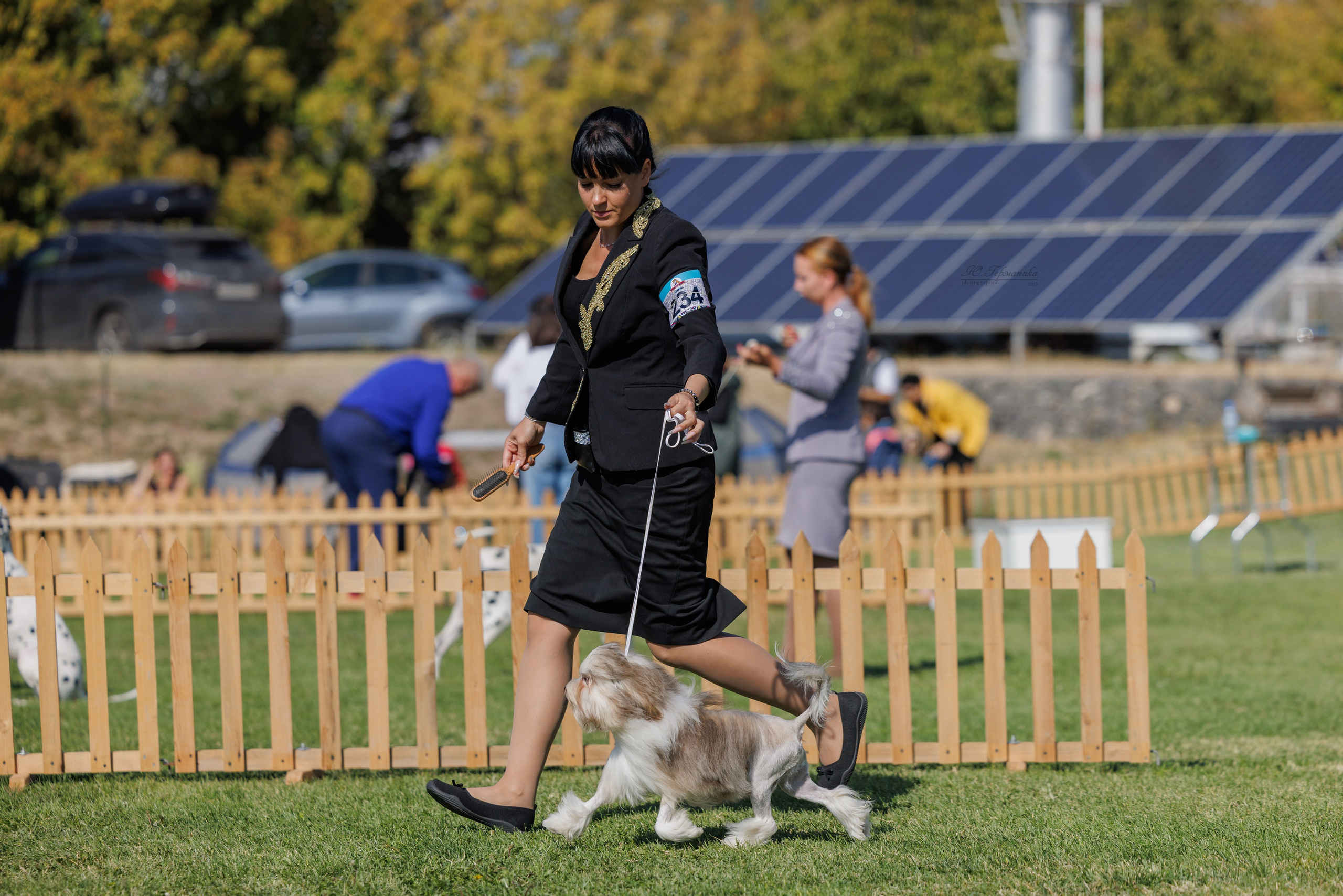 Ереван 14-16.10.2025. Фотограф-анималист Юлия Германика