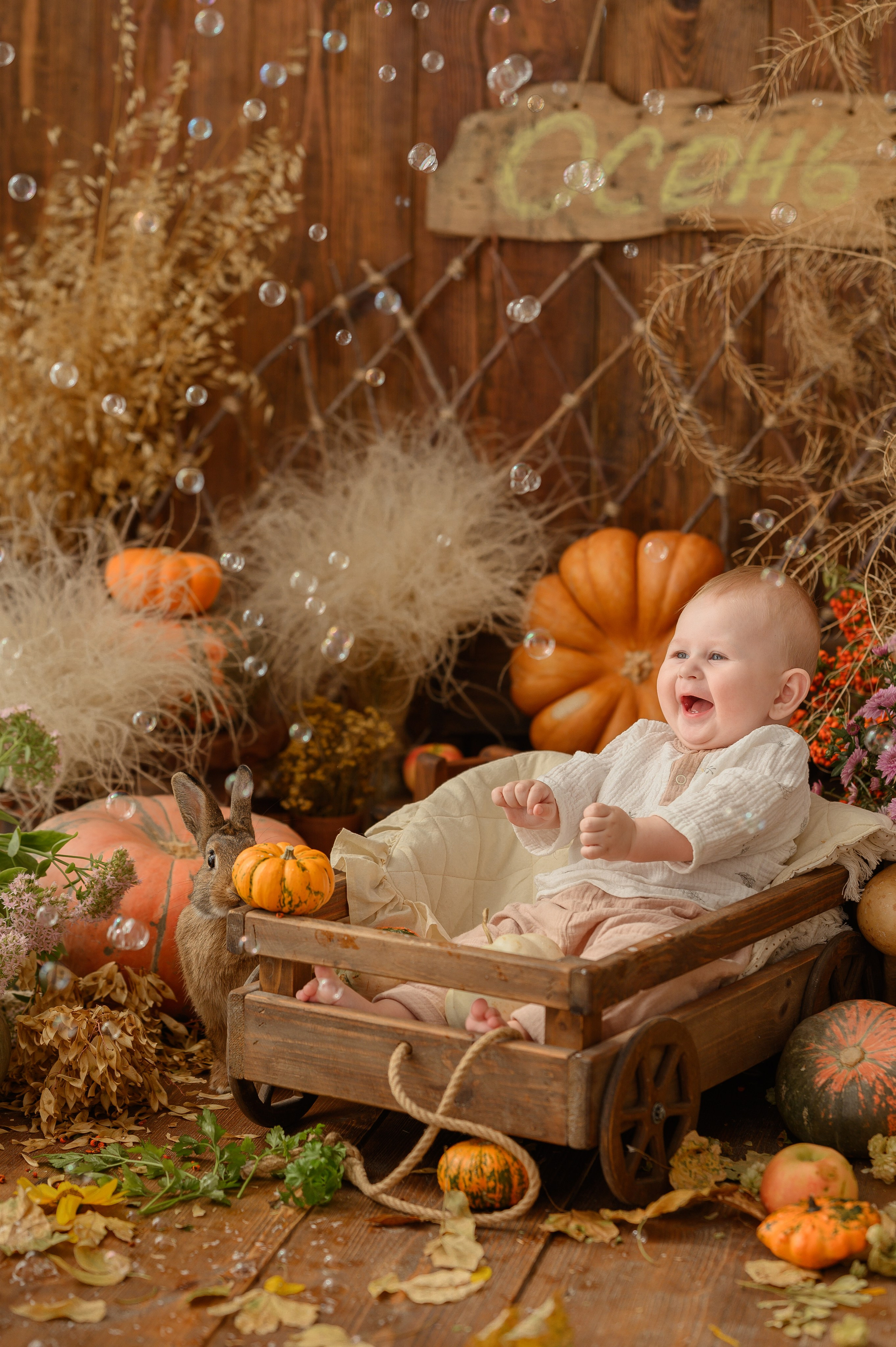 Дамирчик и кролик в тыквах. Детский и семейный фотограф Ирина Гладких