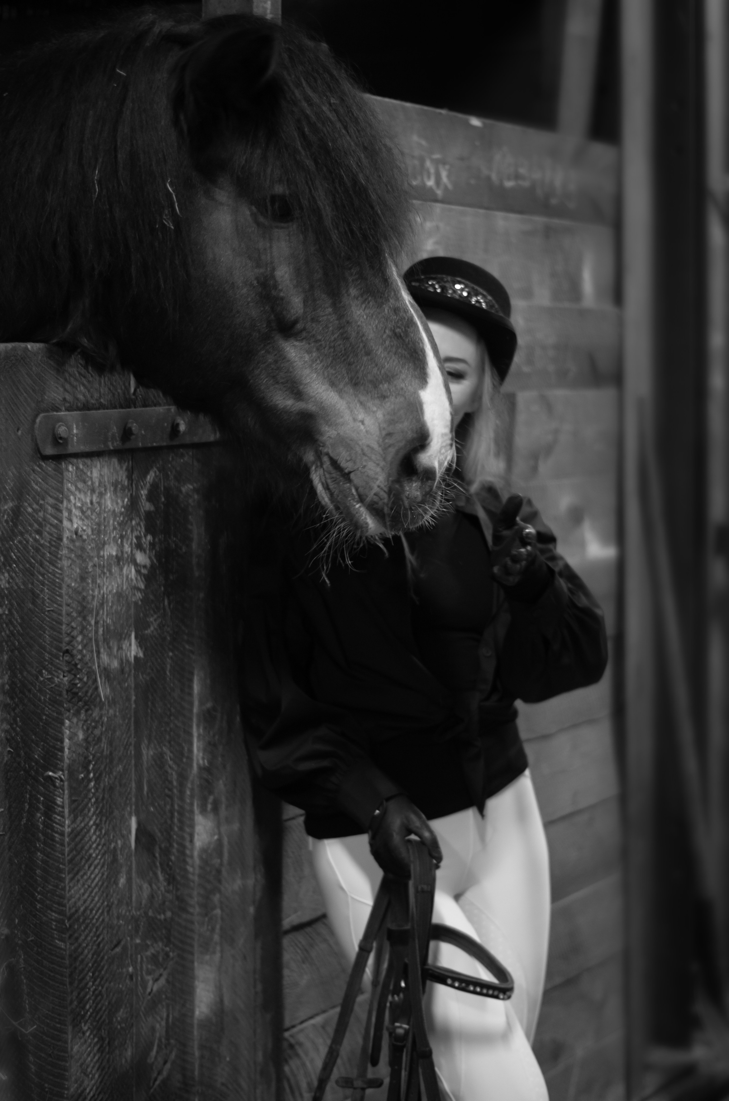 «Horses style» (фотопроект). Фотограф Марина Доглядная Челябинск фотосессии с лошадьми, мотоциклами