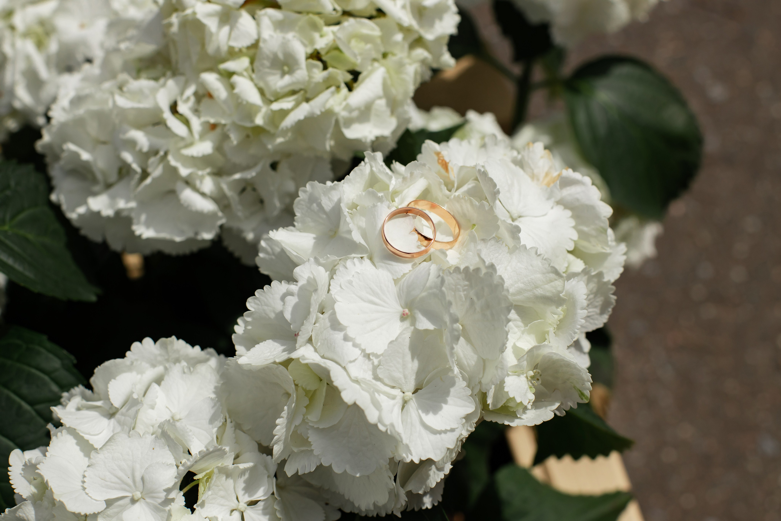 Фотосессия в Загсе Домодедово. Свадебный семейный Фотограф в Домодедово и Москве Дарья Капитанова