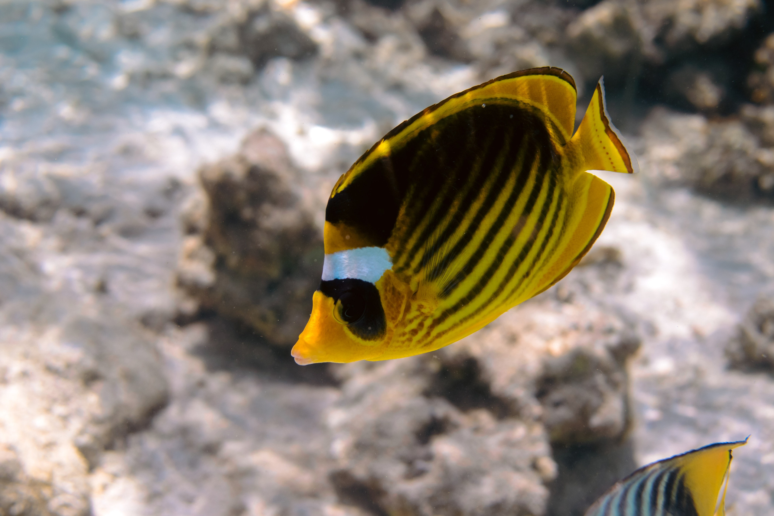 Море. Фотограф в Санкт-Петербурге Ибрагимова Алина
