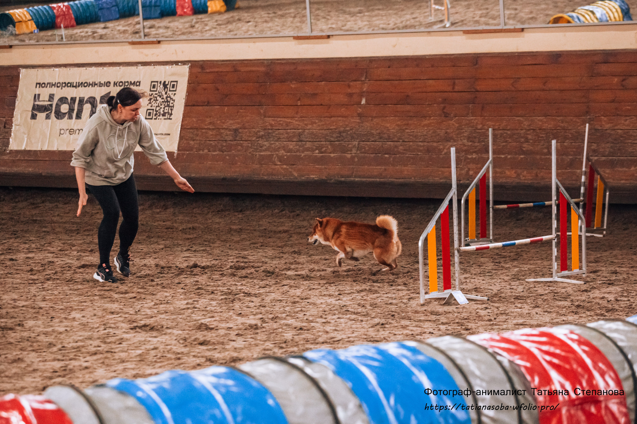 Соревнования по Аджилити 25.02.2024. Фотограф-анималист Татьяна Степанова