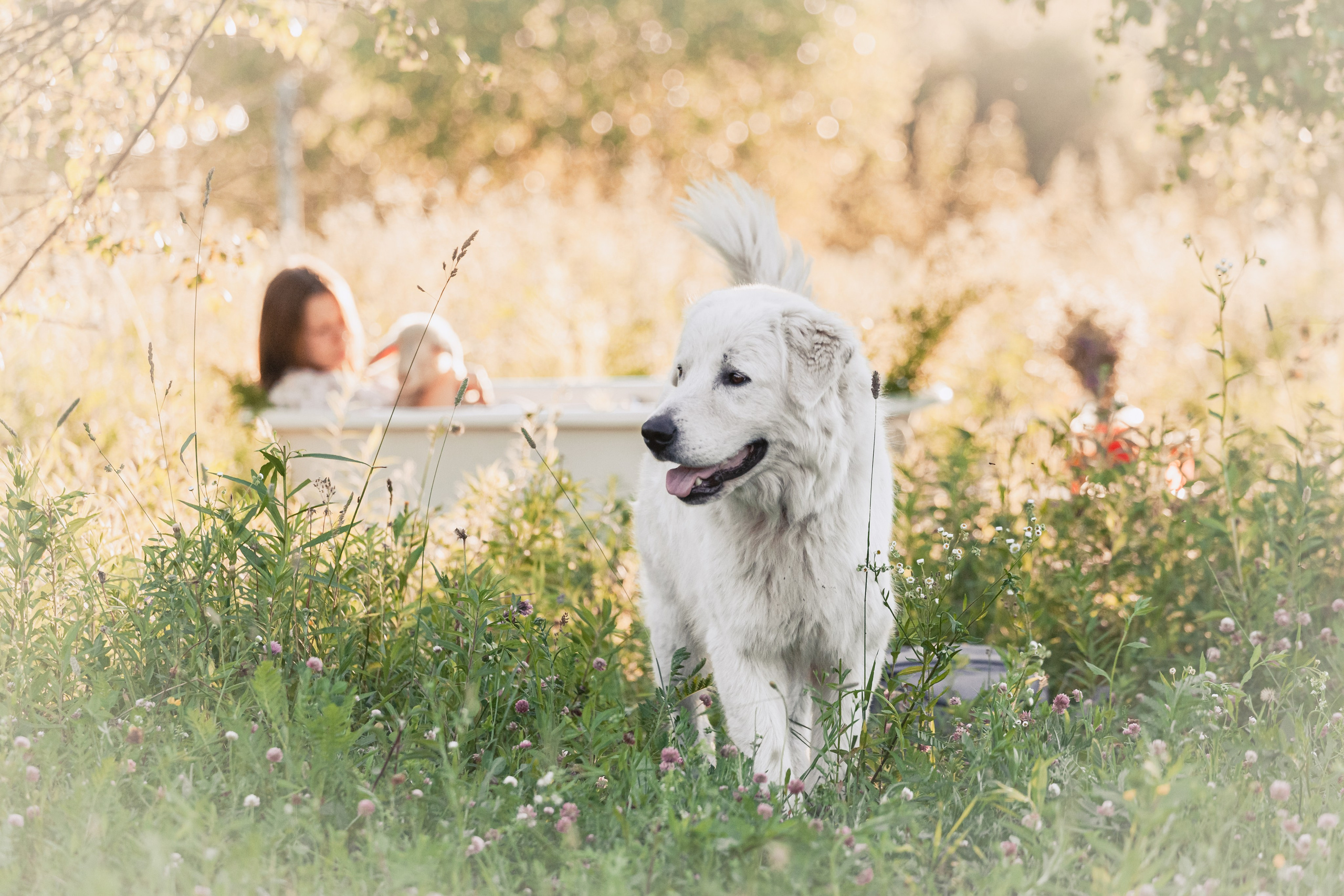 Ванна в поле. Фотограф-анималист Татьяна Степанова