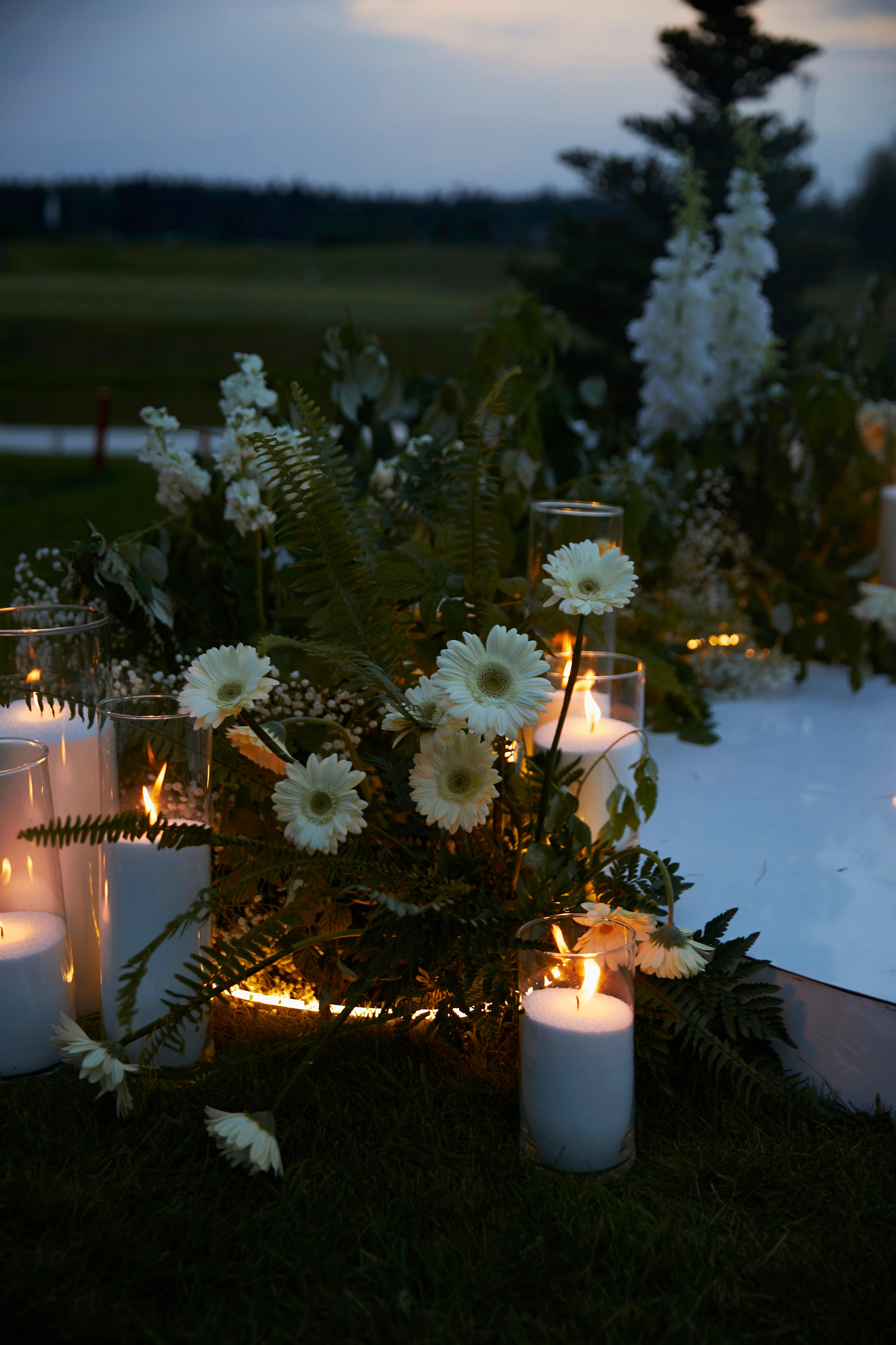 Denis & Tatiana | Russia, Dmitrov. Свадебный фотограф