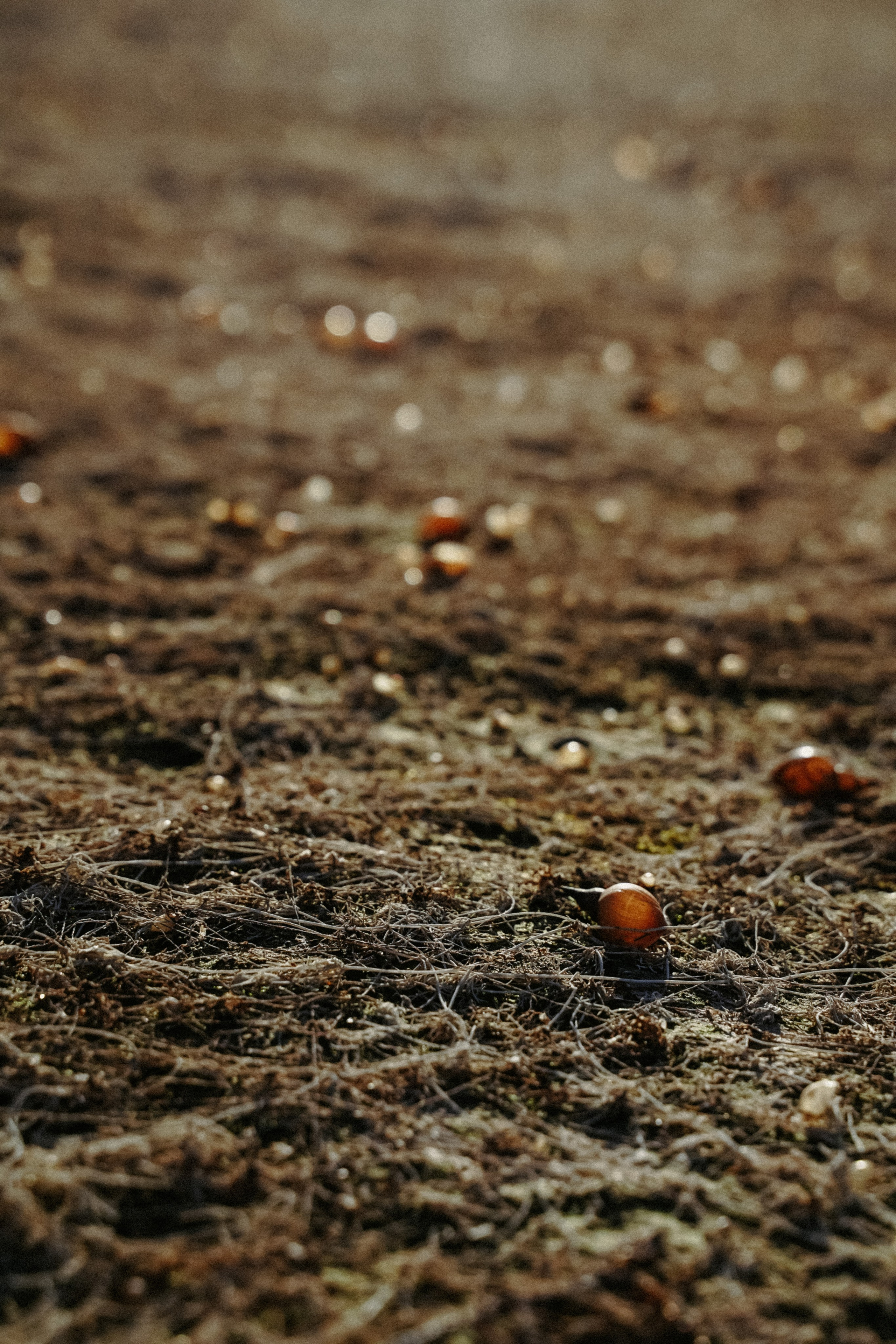 Творчество