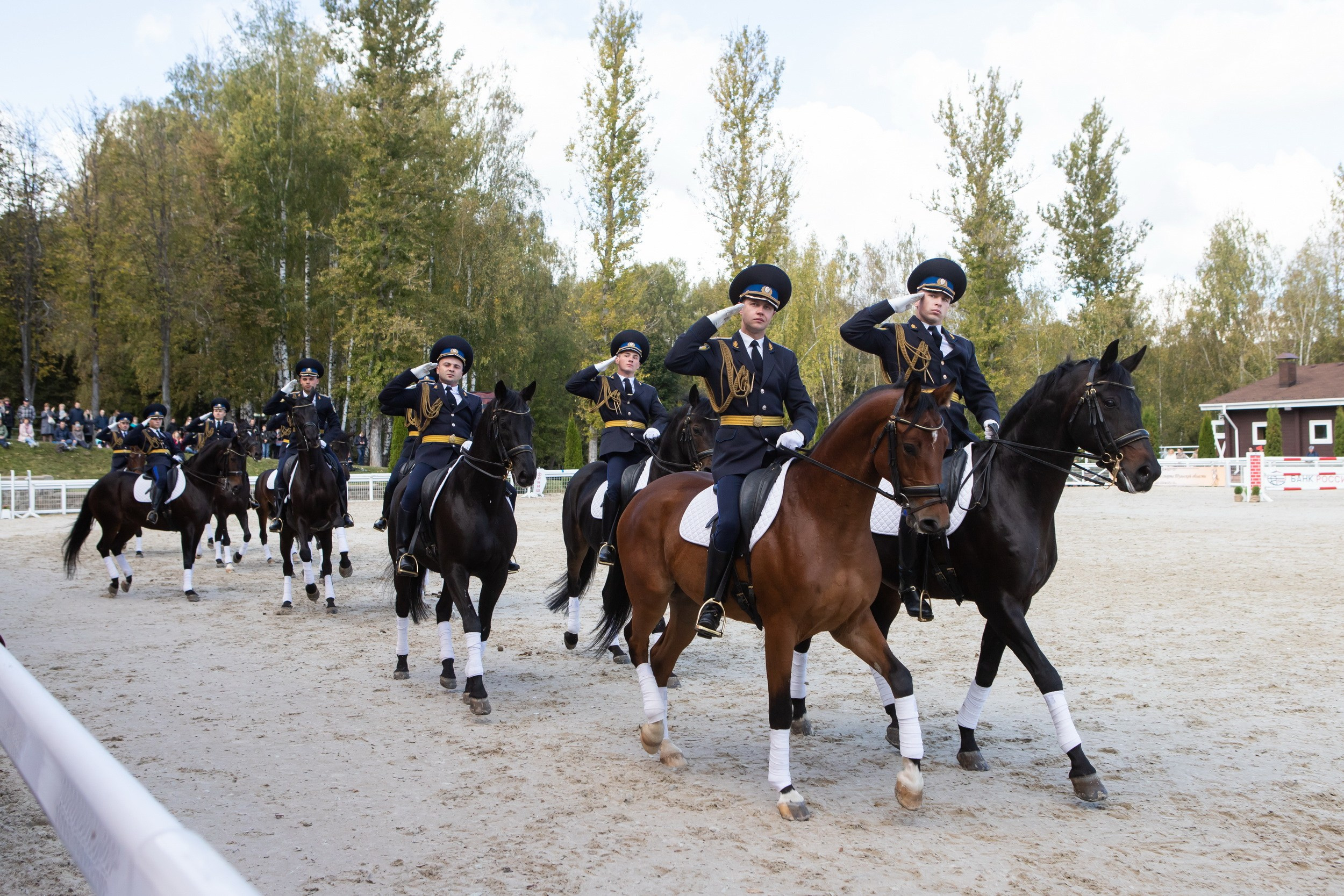 Кубок Губернатора по конкуру (21 сентября 2019). Репортажный фотограф Алексей Пирязев
