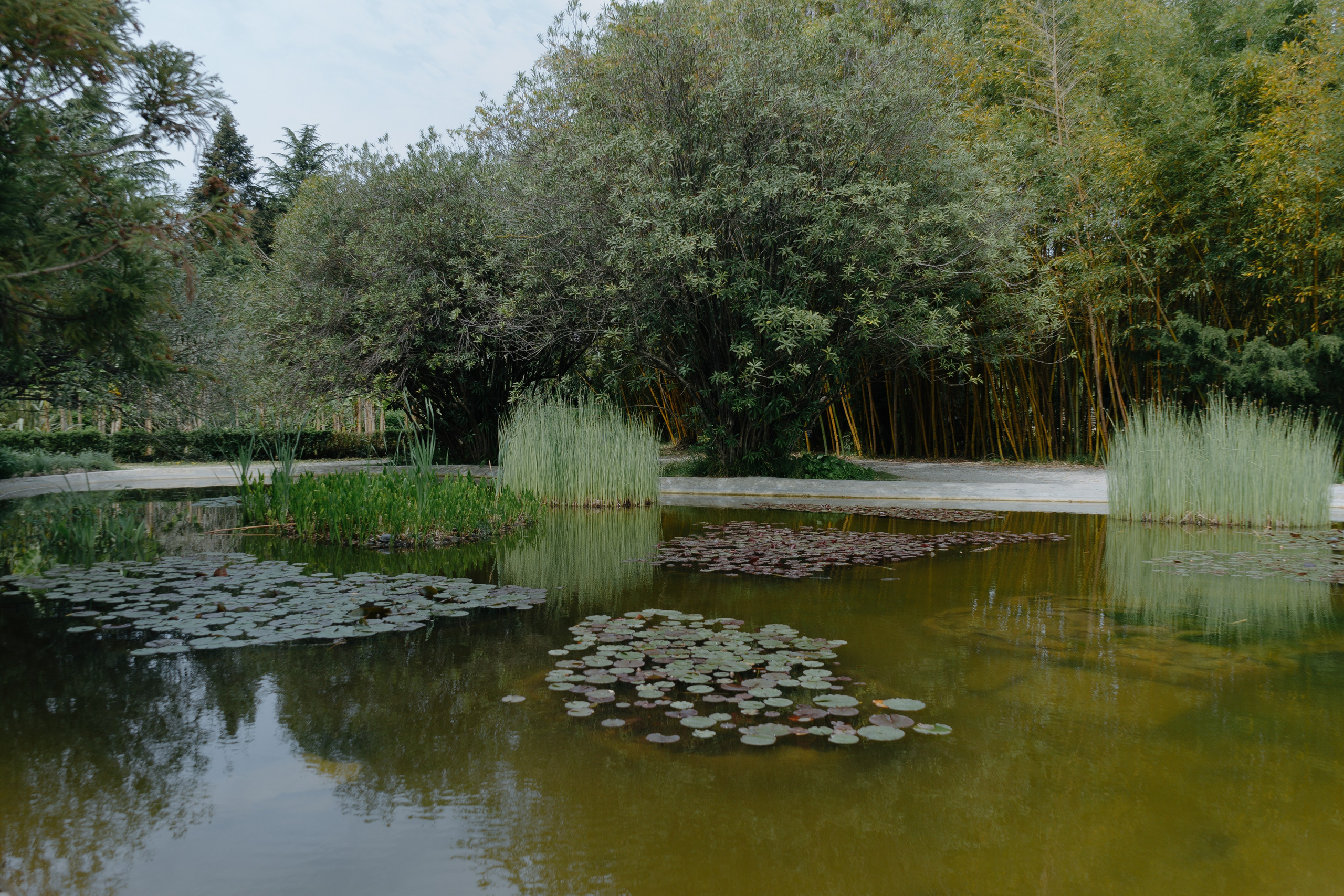 Сочи и Абхазия. Денис Марков — фотограф в Екатеринбурге