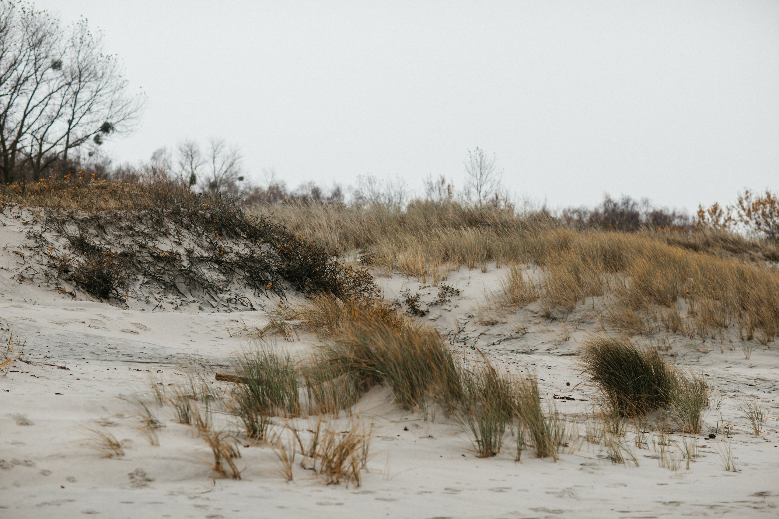 Фотосессия в Балтийске. Https://malovafoto.ru