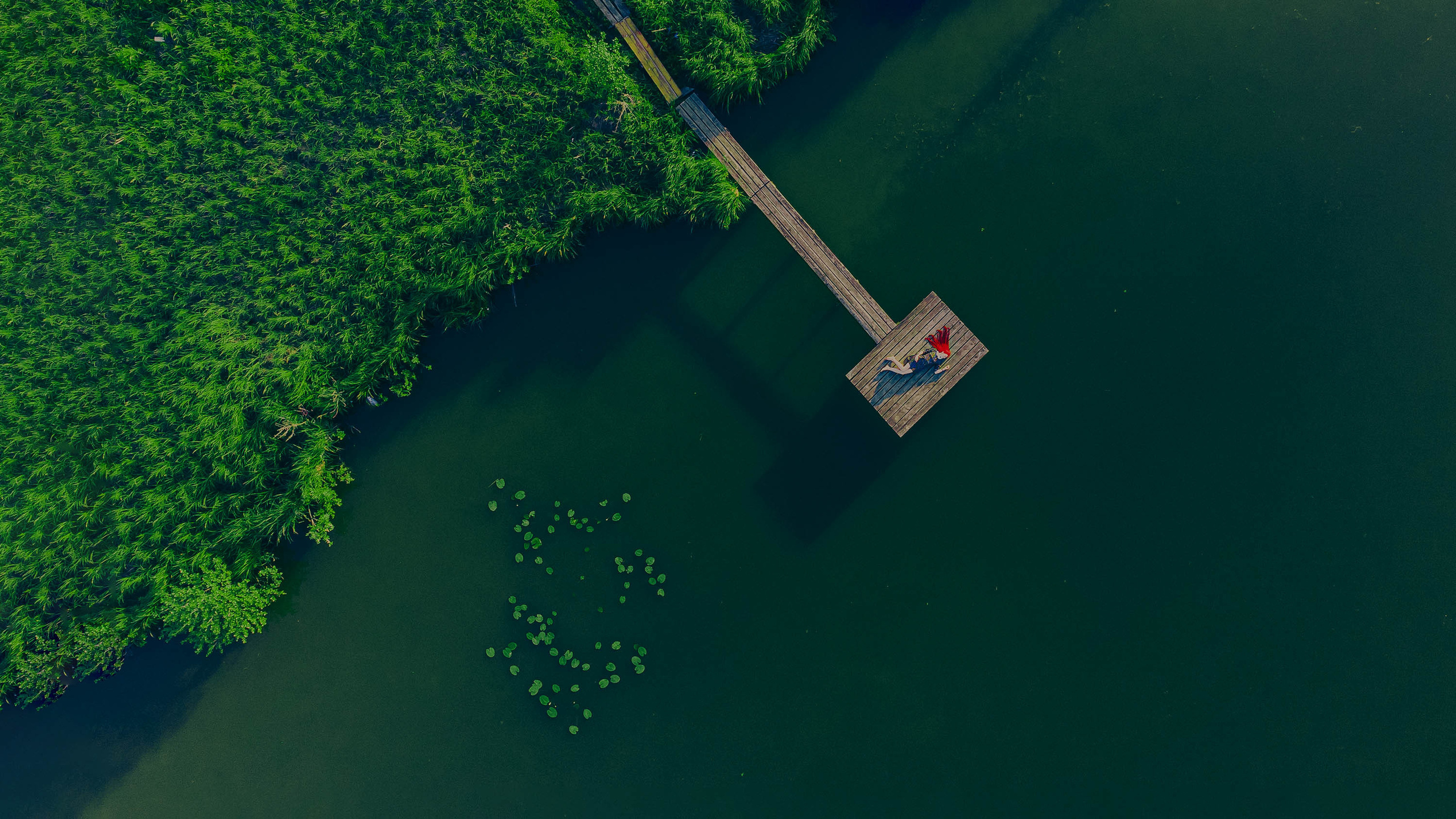 Фотограф Екатерина Сочилина