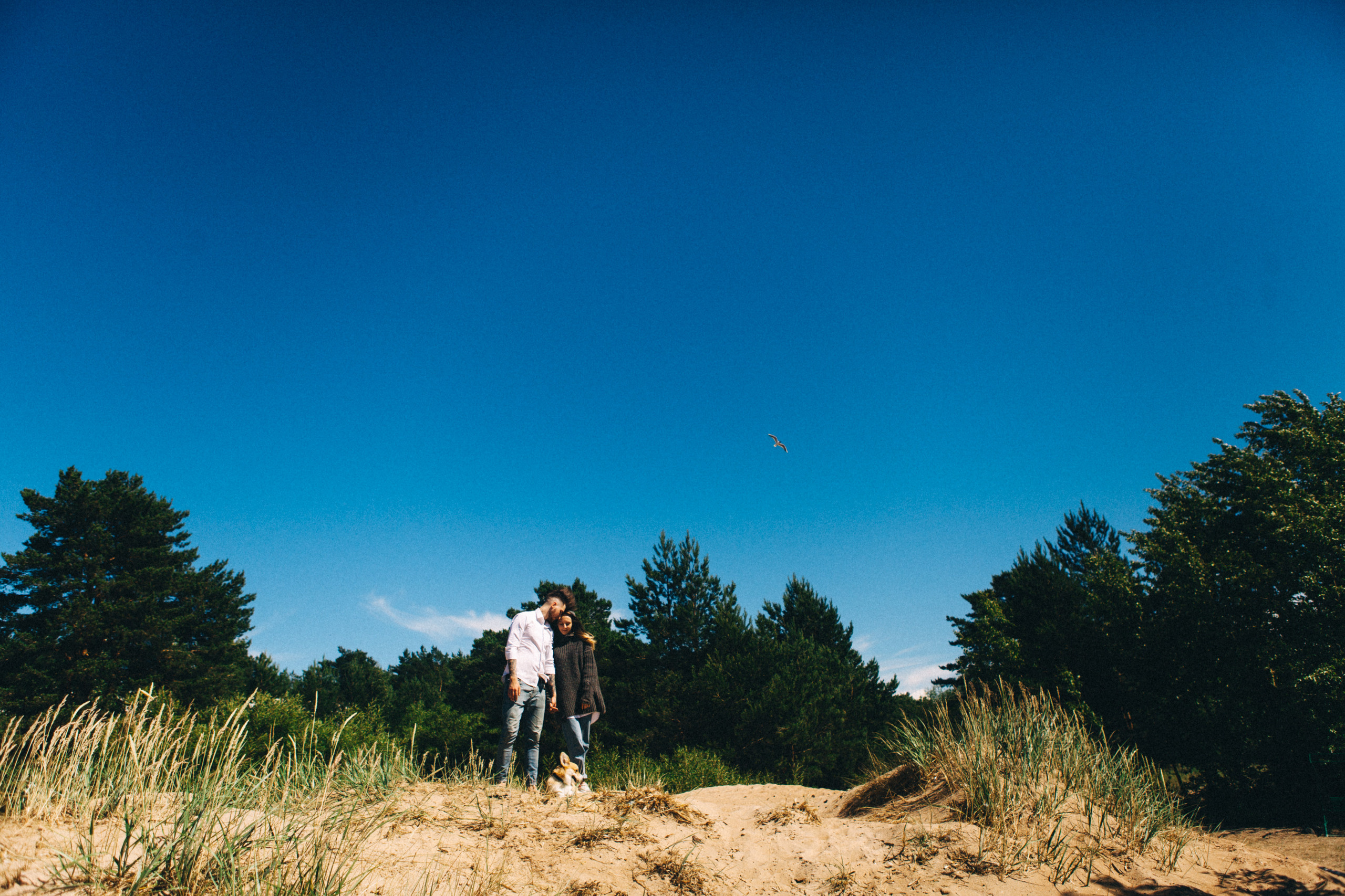 Если с корги вышел в путь…. Свадебный и семейный фотограф в Санкт-Петербурге и Москве