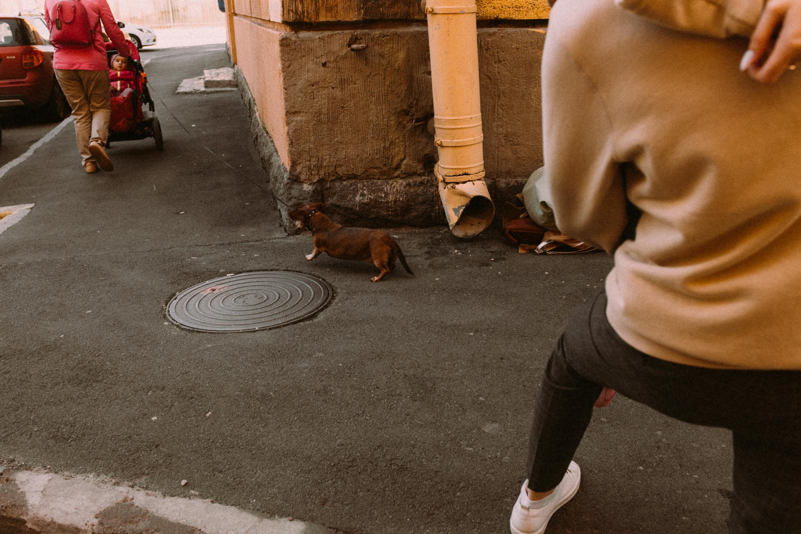 #впитерелюбить. Свадебный и семейный фотограф в Санкт-Петербурге и Москве