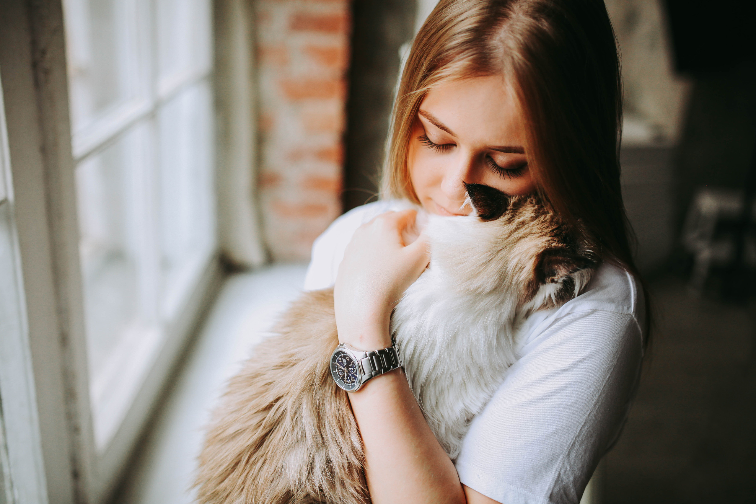 8 ног и 2 хвоста. Свадебный и семейный фотограф в Санкт-Петербурге и Москве