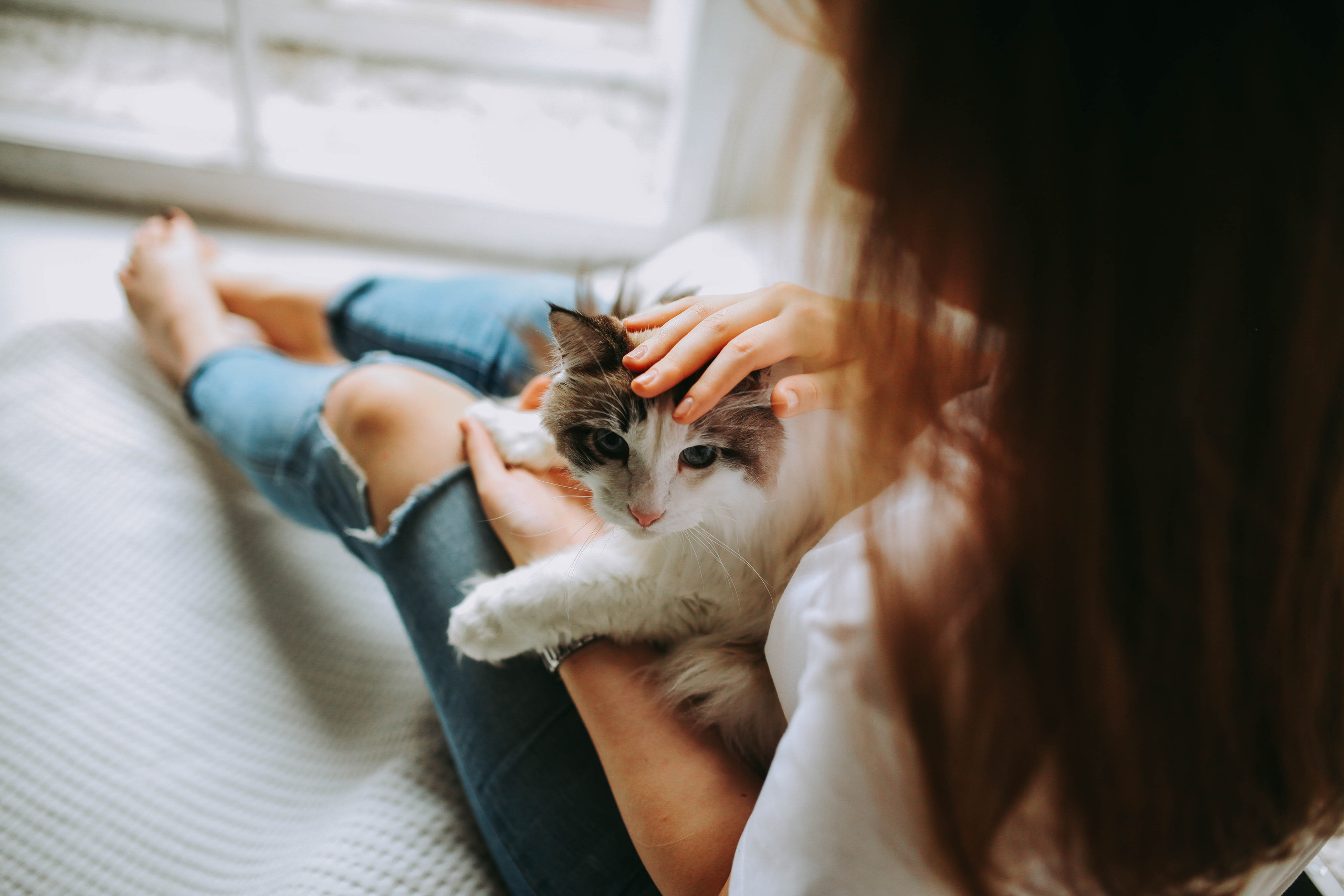 8 ног и 2 хвоста. Свадебный и семейный фотограф в Санкт-Петербурге и Москве