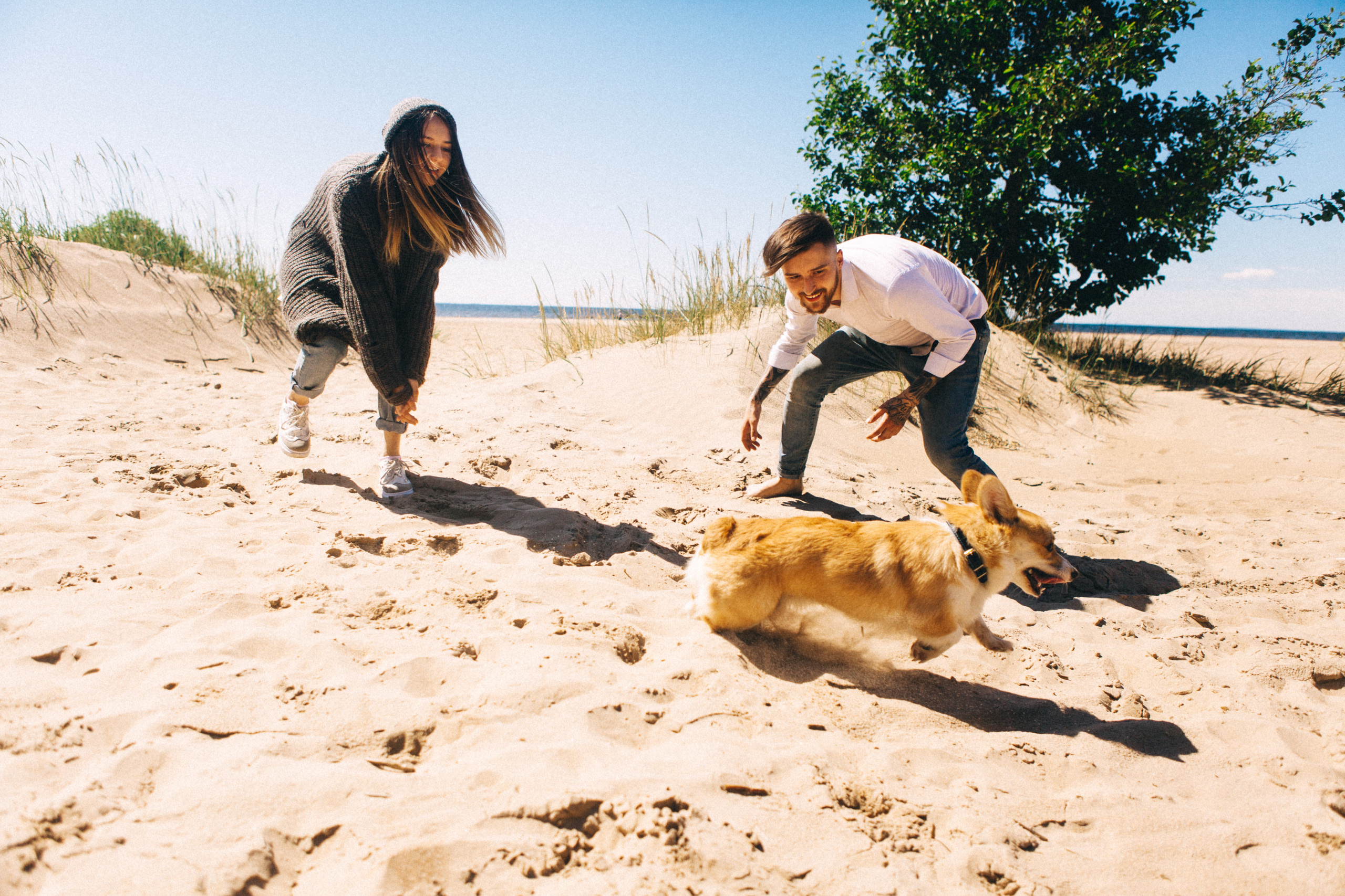 Если с корги вышел в путь…. Свадебный и семейный фотограф в Санкт-Петербурге и Москве