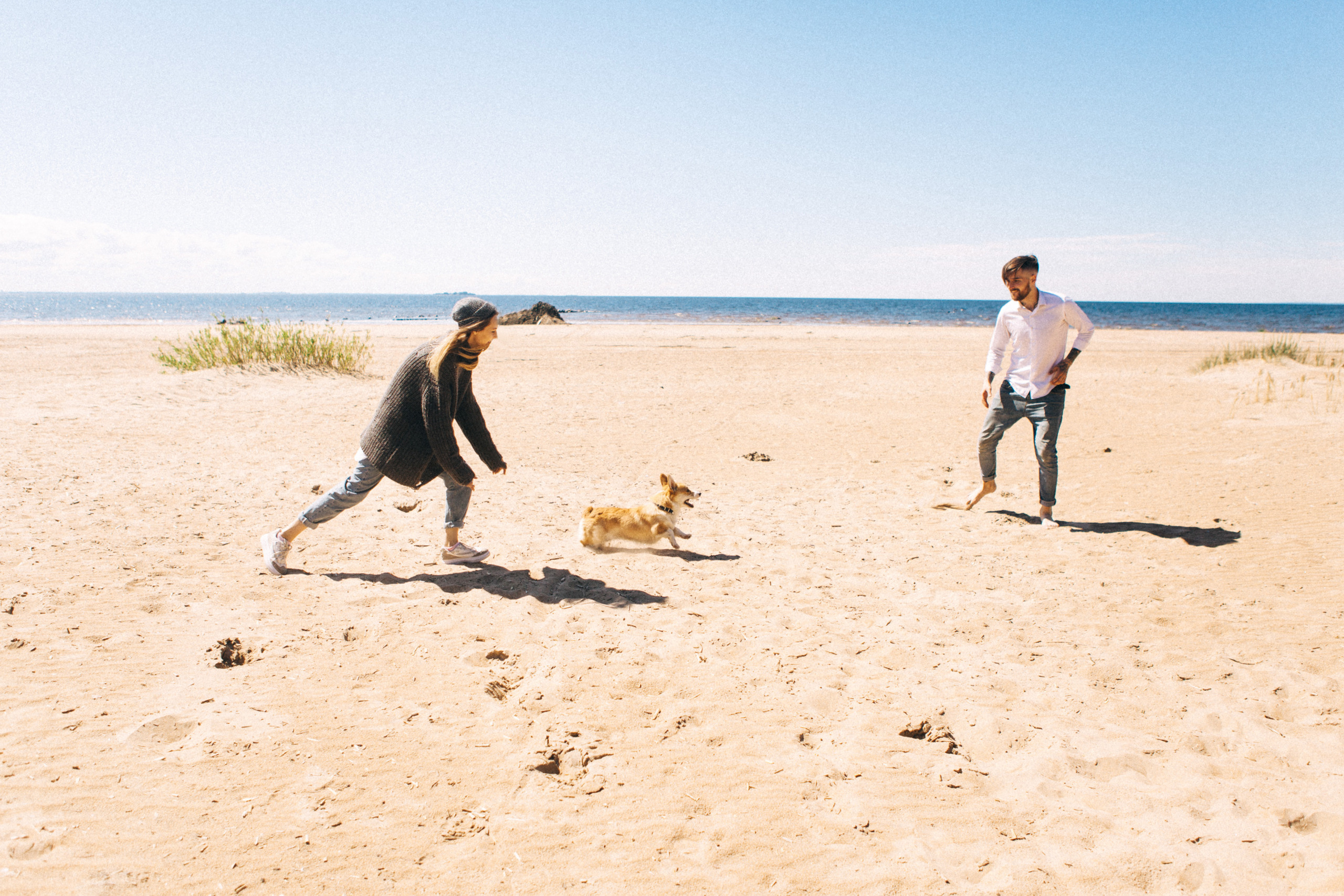Если с корги вышел в путь…. Свадебный и семейный фотограф в Санкт-Петербурге и Москве