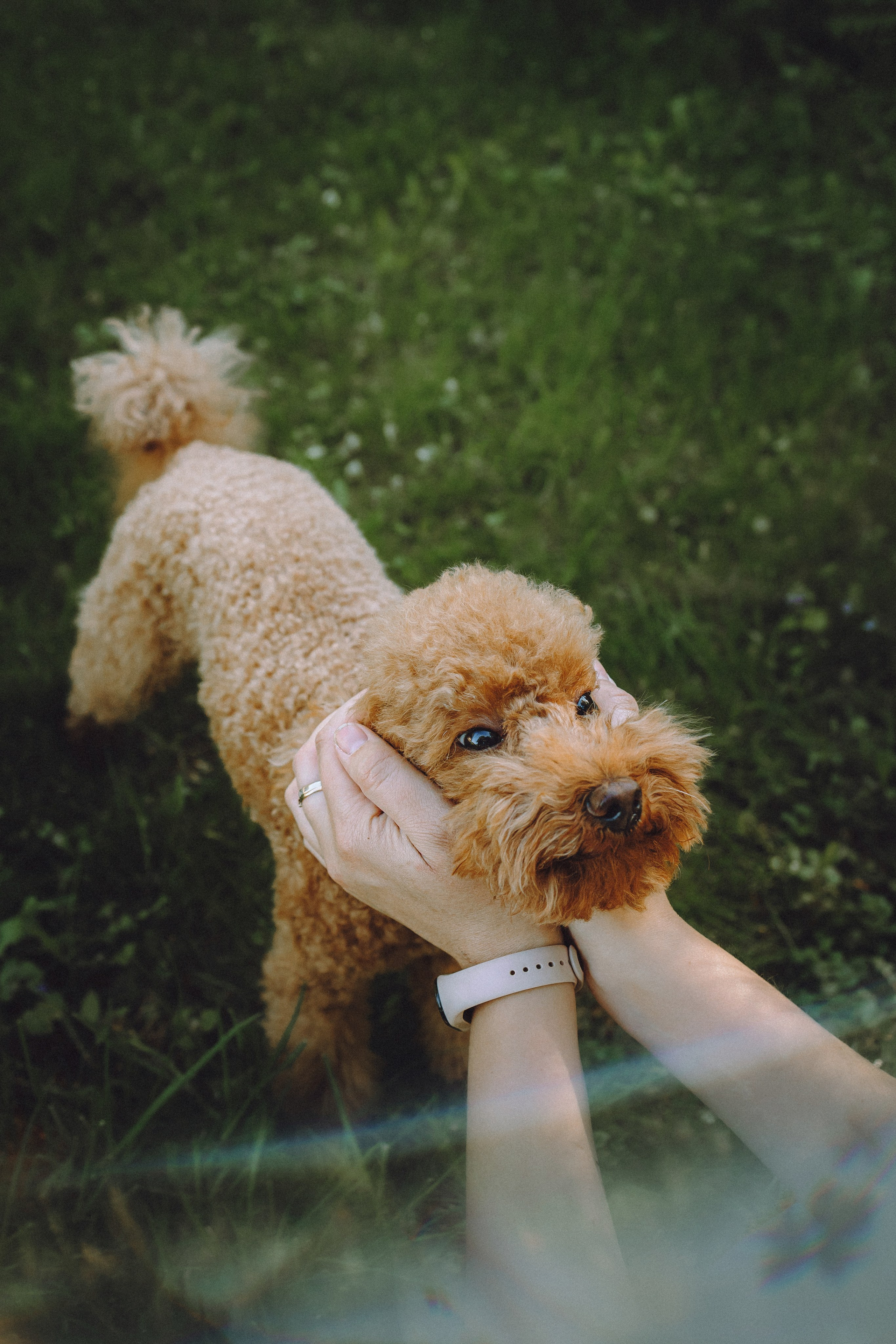 Марья и Буба