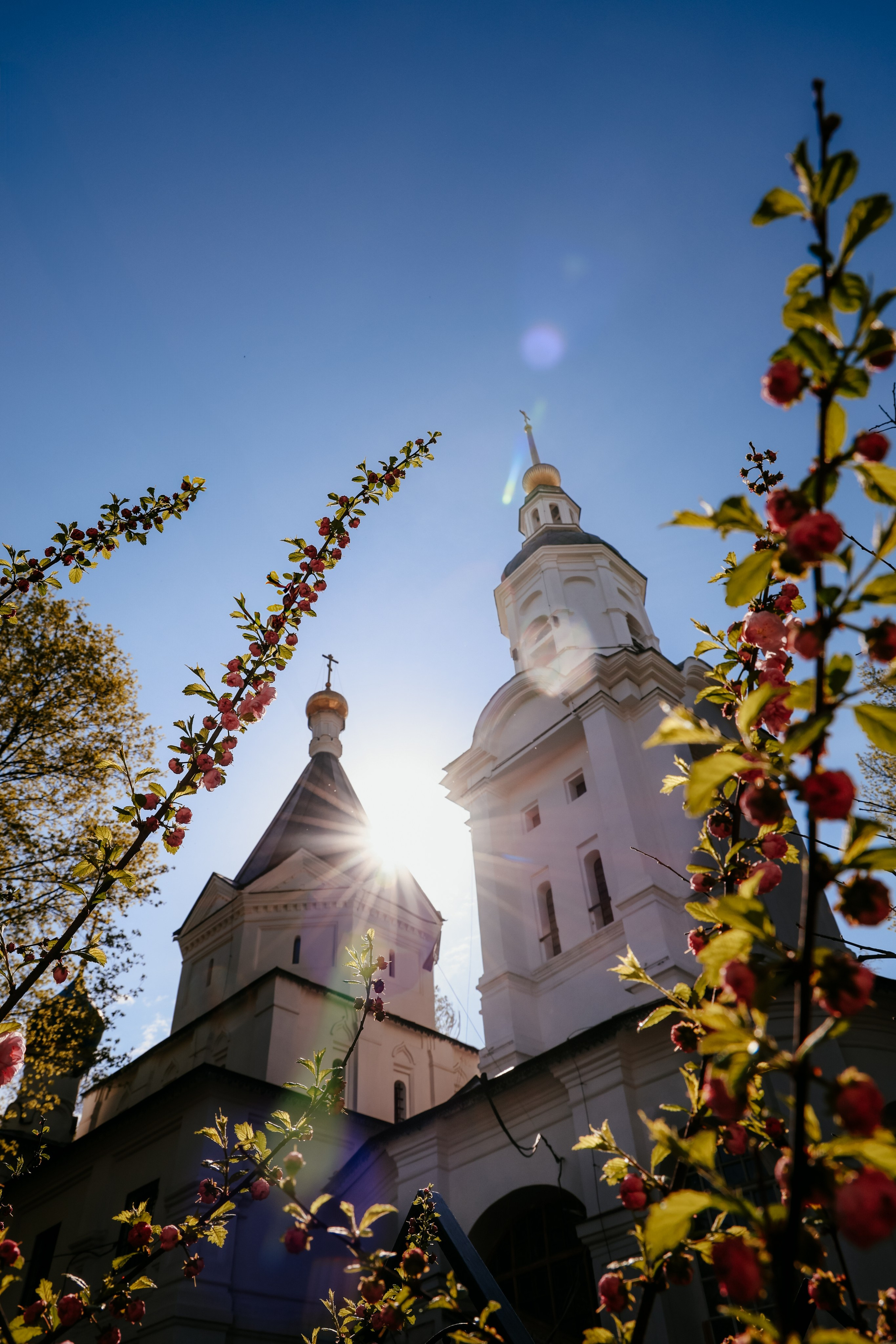 Фотографирую светом и сердцем в Москве с 2014 года