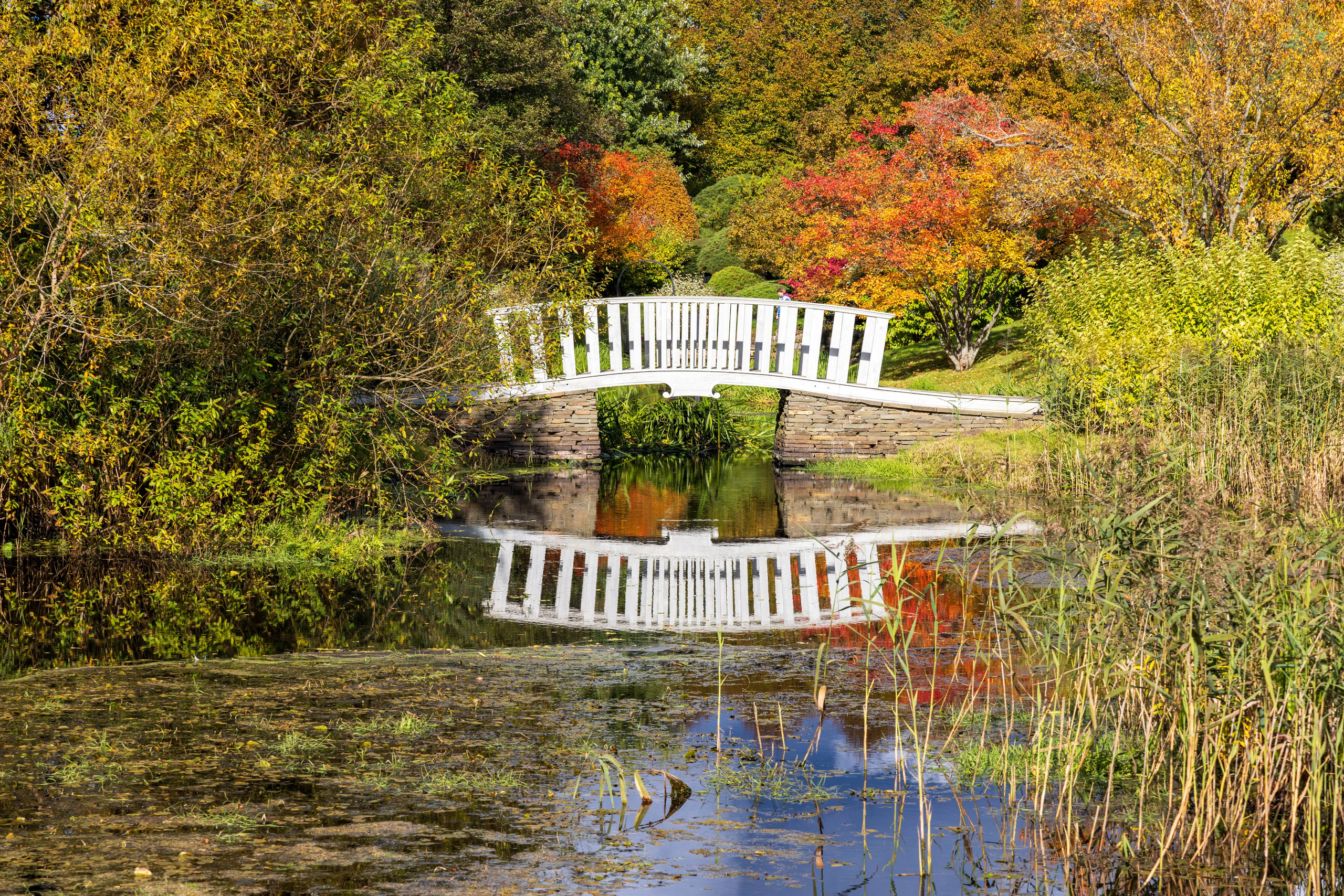 Архитектура и пейзажи. Главная