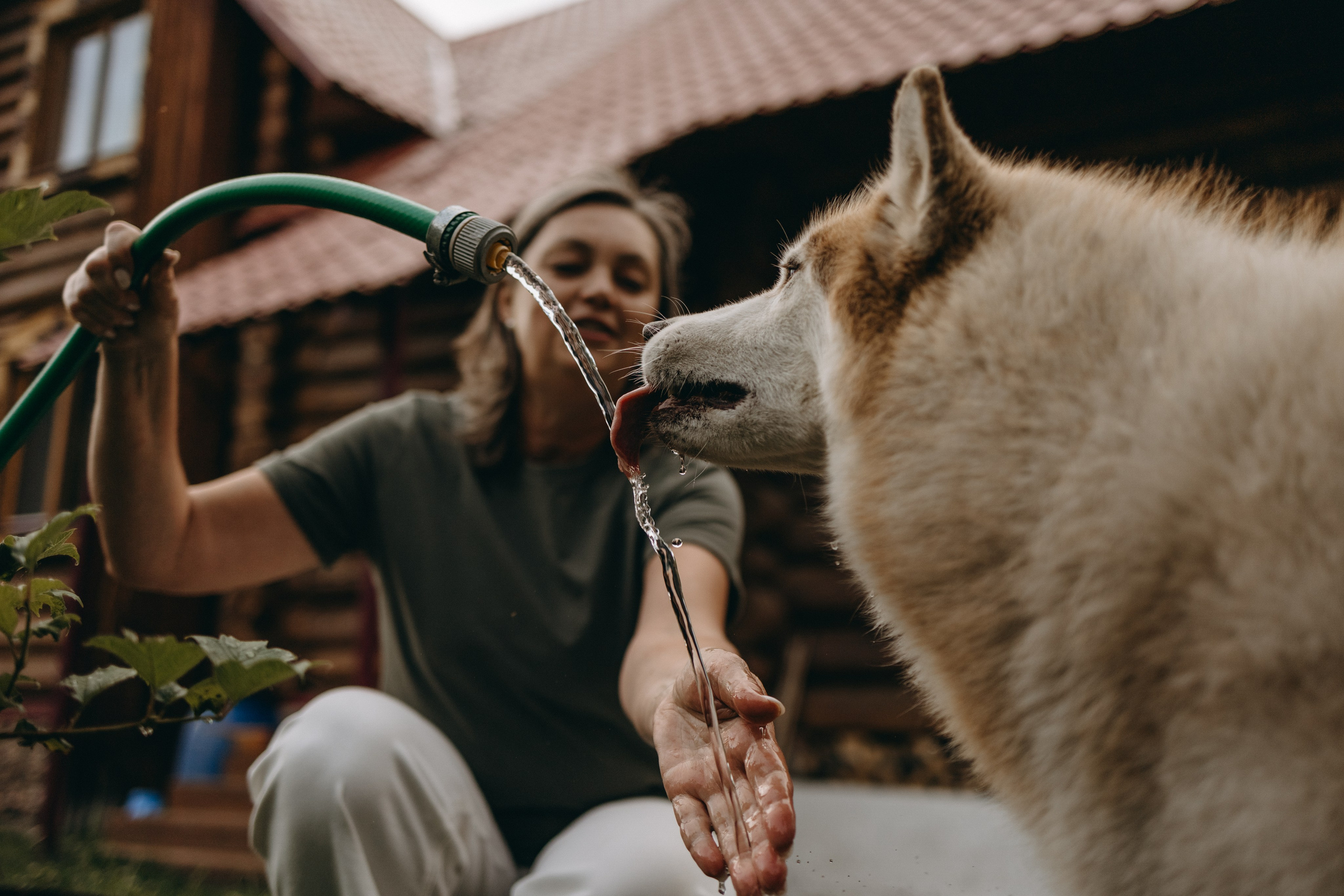 Дом у реки. Фотограф — Анималист | Санкт-Петербург
