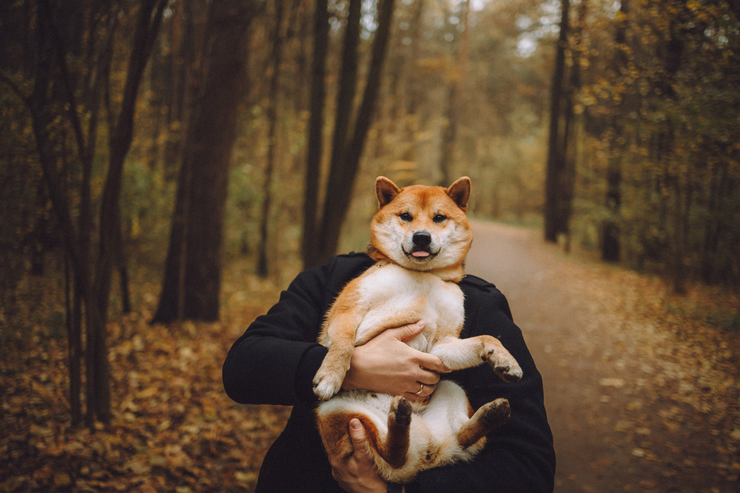 Настя, Юра и Скай