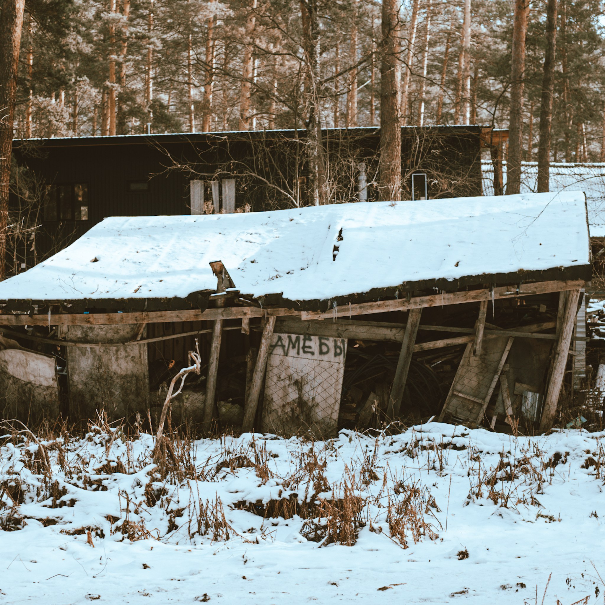 Алтай. Больше не греет