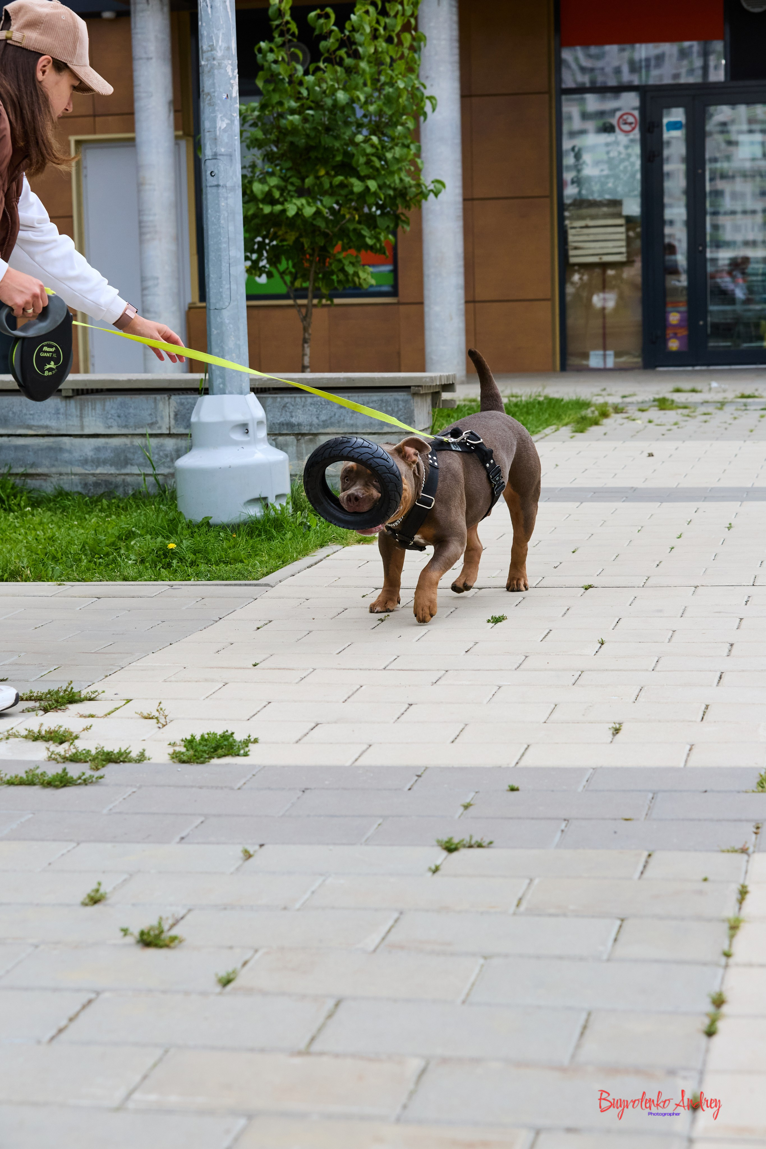 Проект фотопрогулка с хвостиком. Buyvolenko Andrey