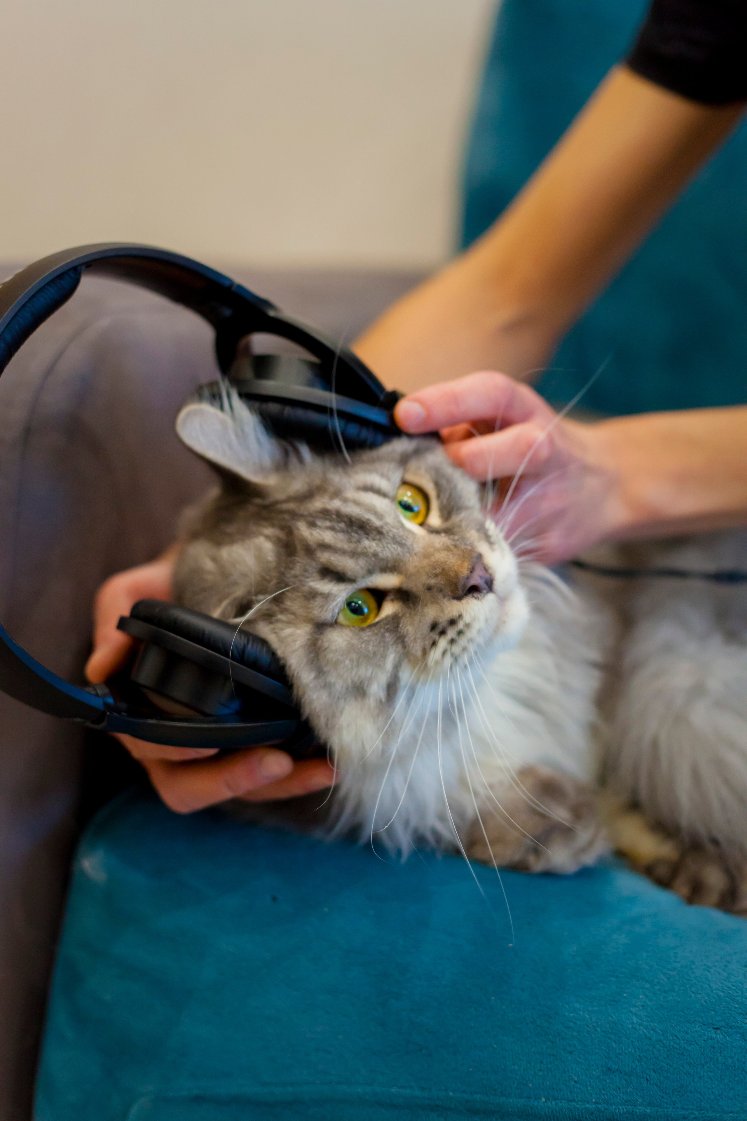 Полина, маркетолог. Фотограф Александра Степанова