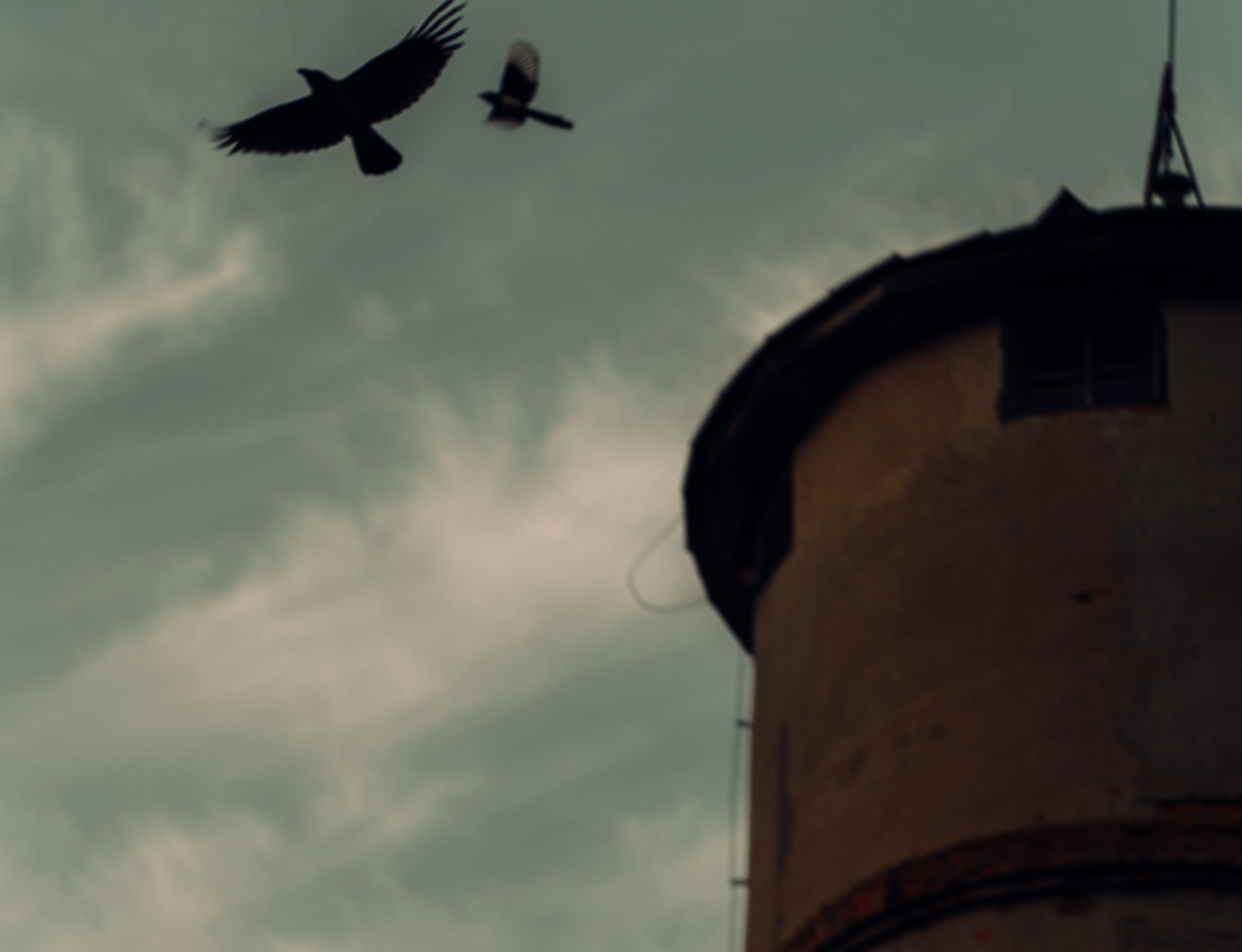 Арина. Фотоистории