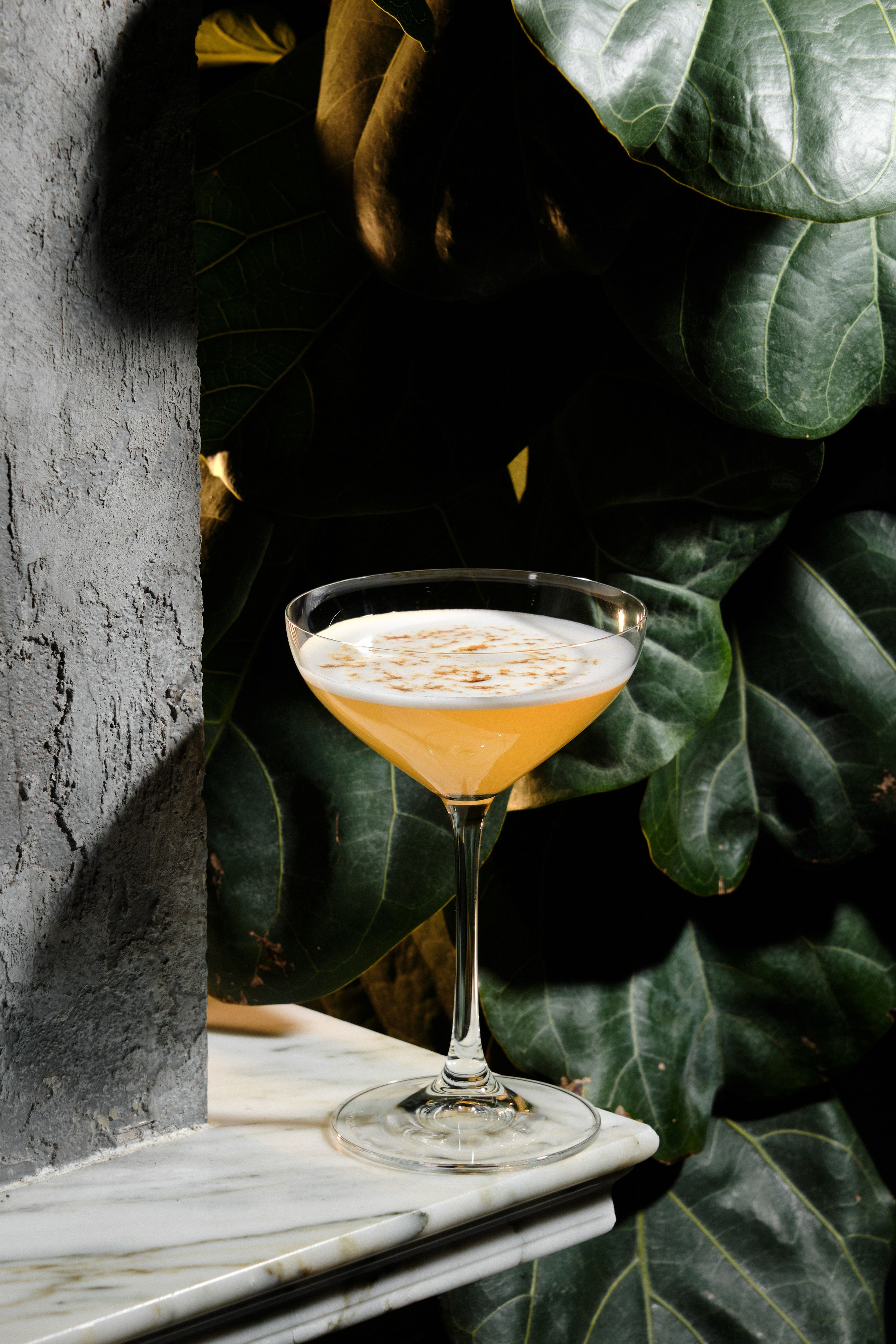 Ресторан Loyo. Коммерческий фотограф Астана. Fashion съемка Food съемка, Reels