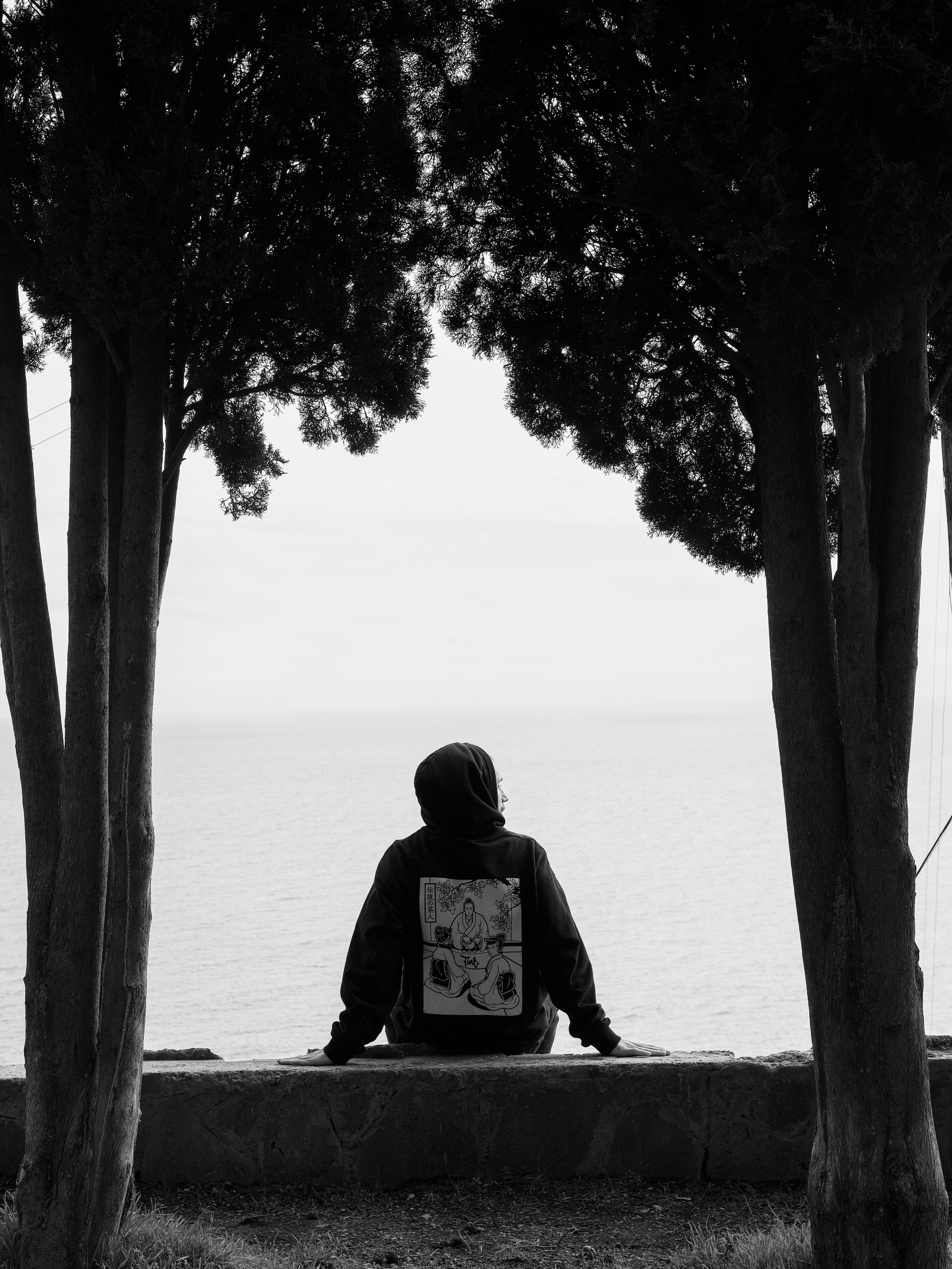 Fine & Summer Jam. Фотограф, видеограф в Санкт-Петербурге