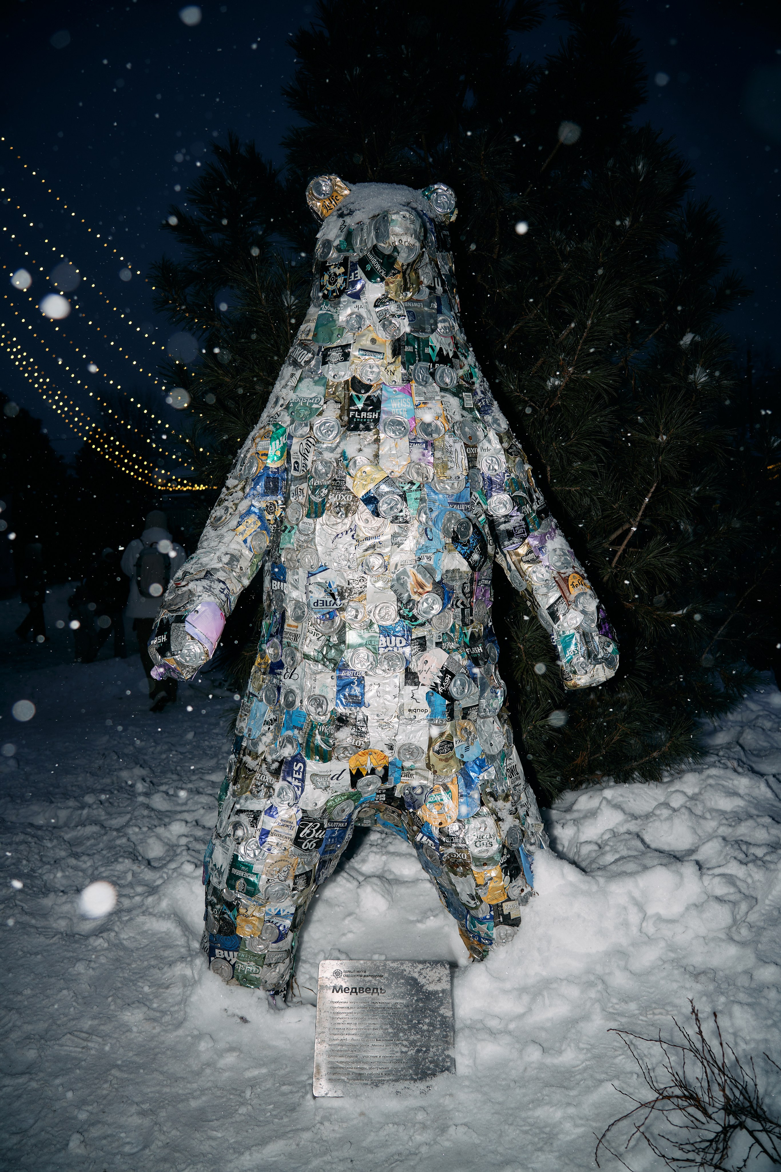 С медведем по соседям. Фотограф