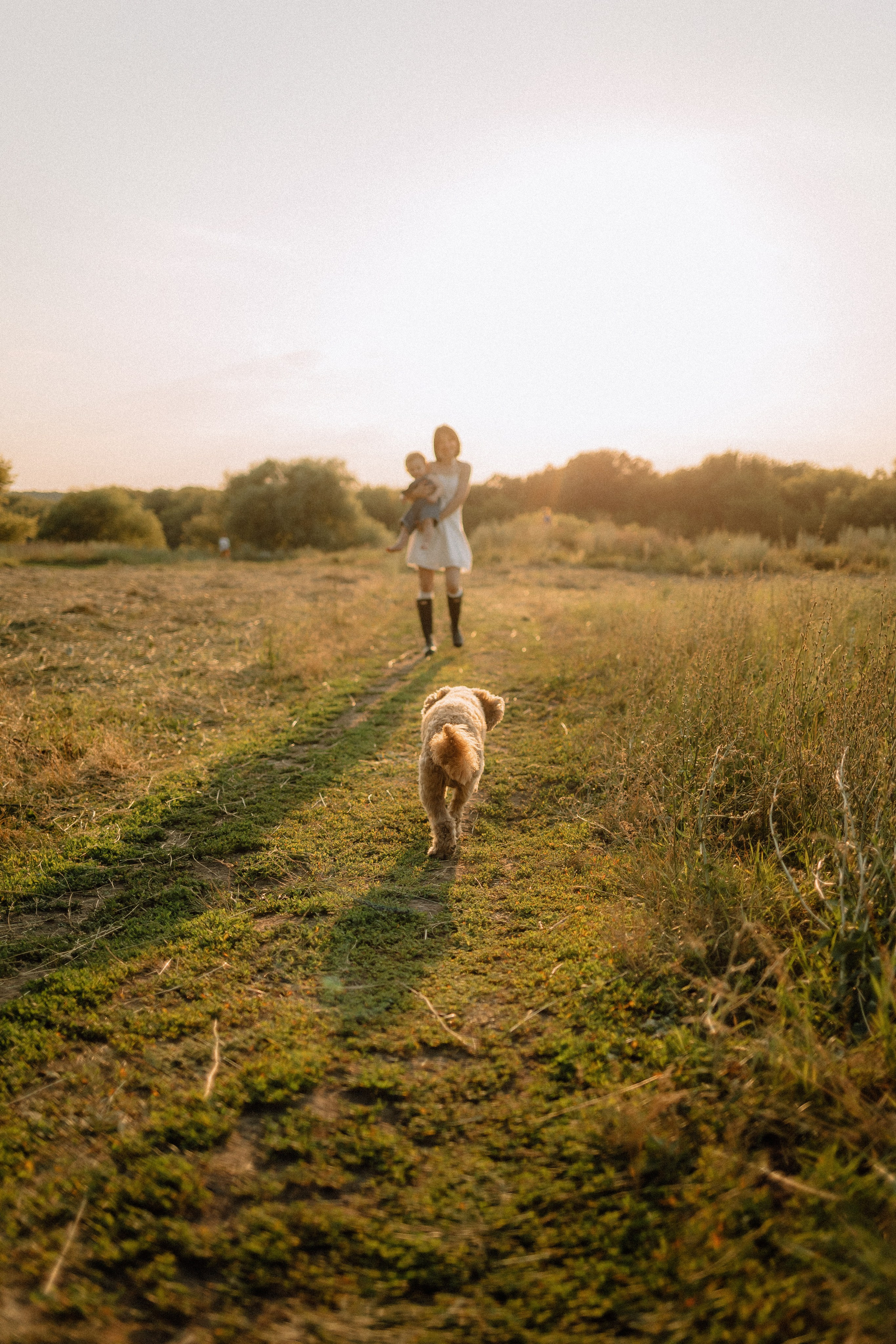 Теплым вечером